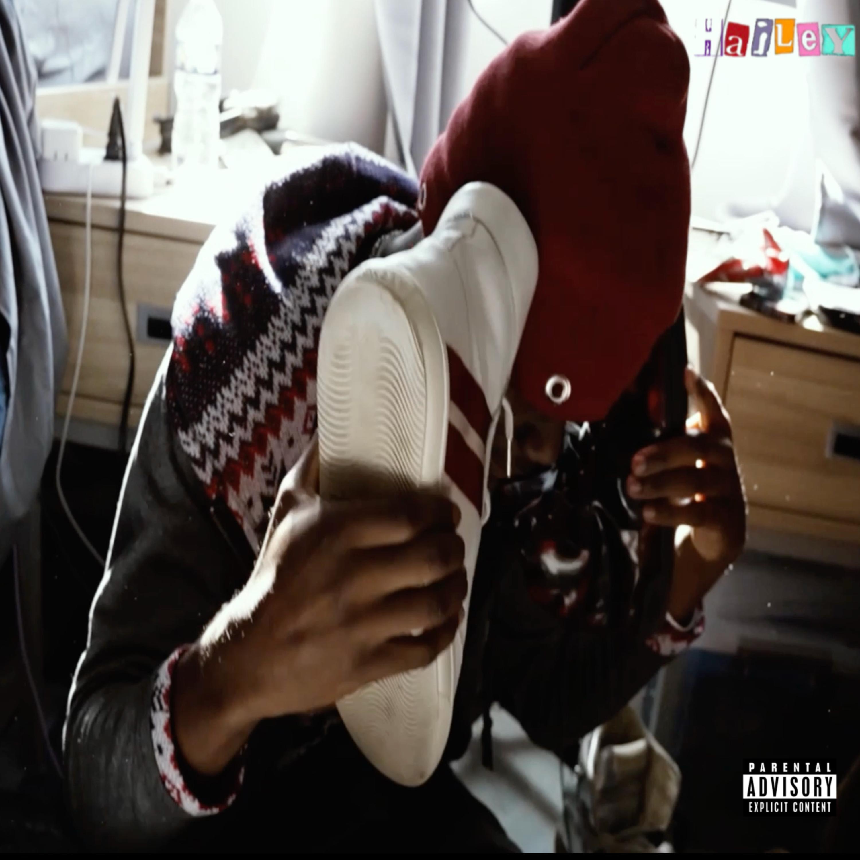 Hailey by whoiskehinde cover art