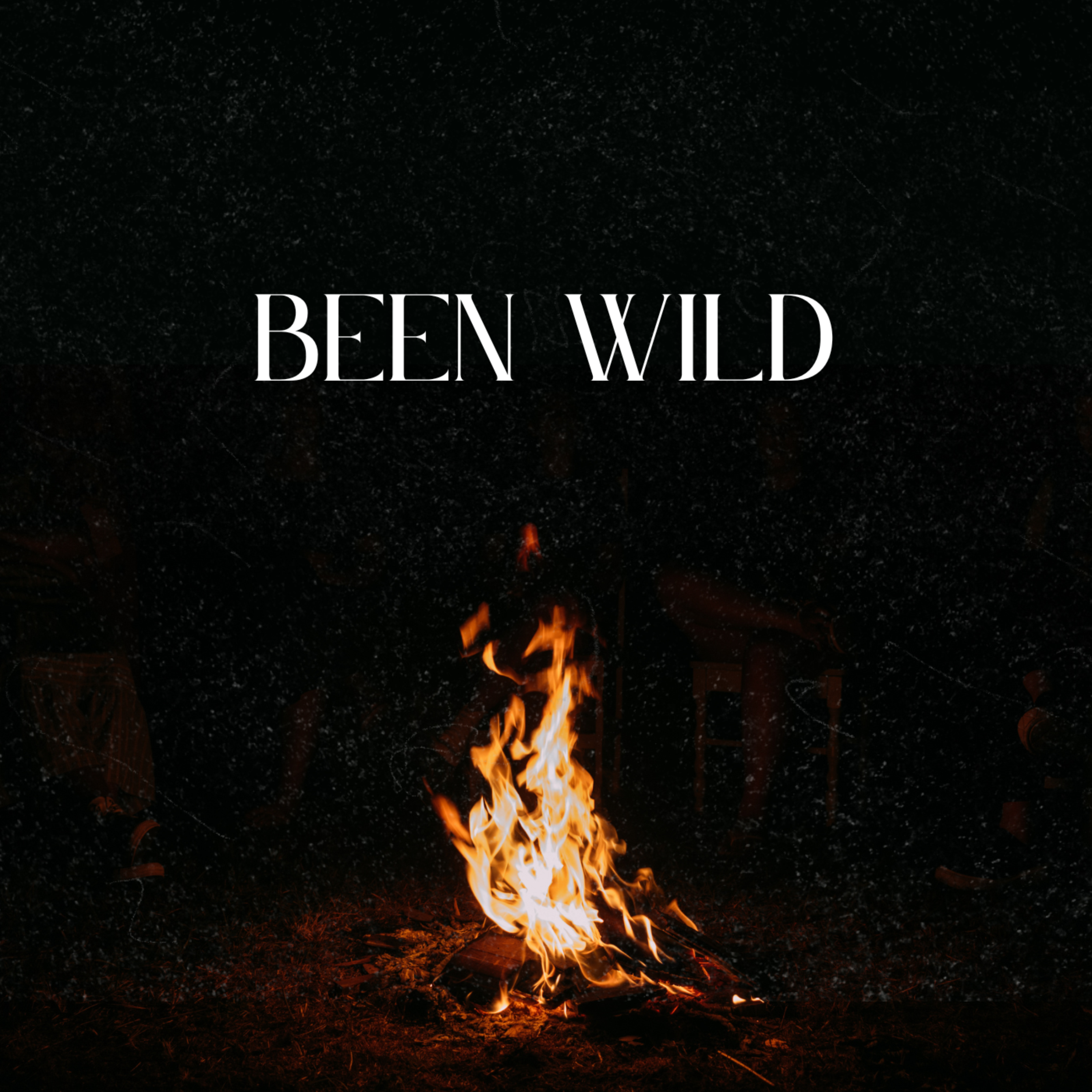 Been Wild artwork
