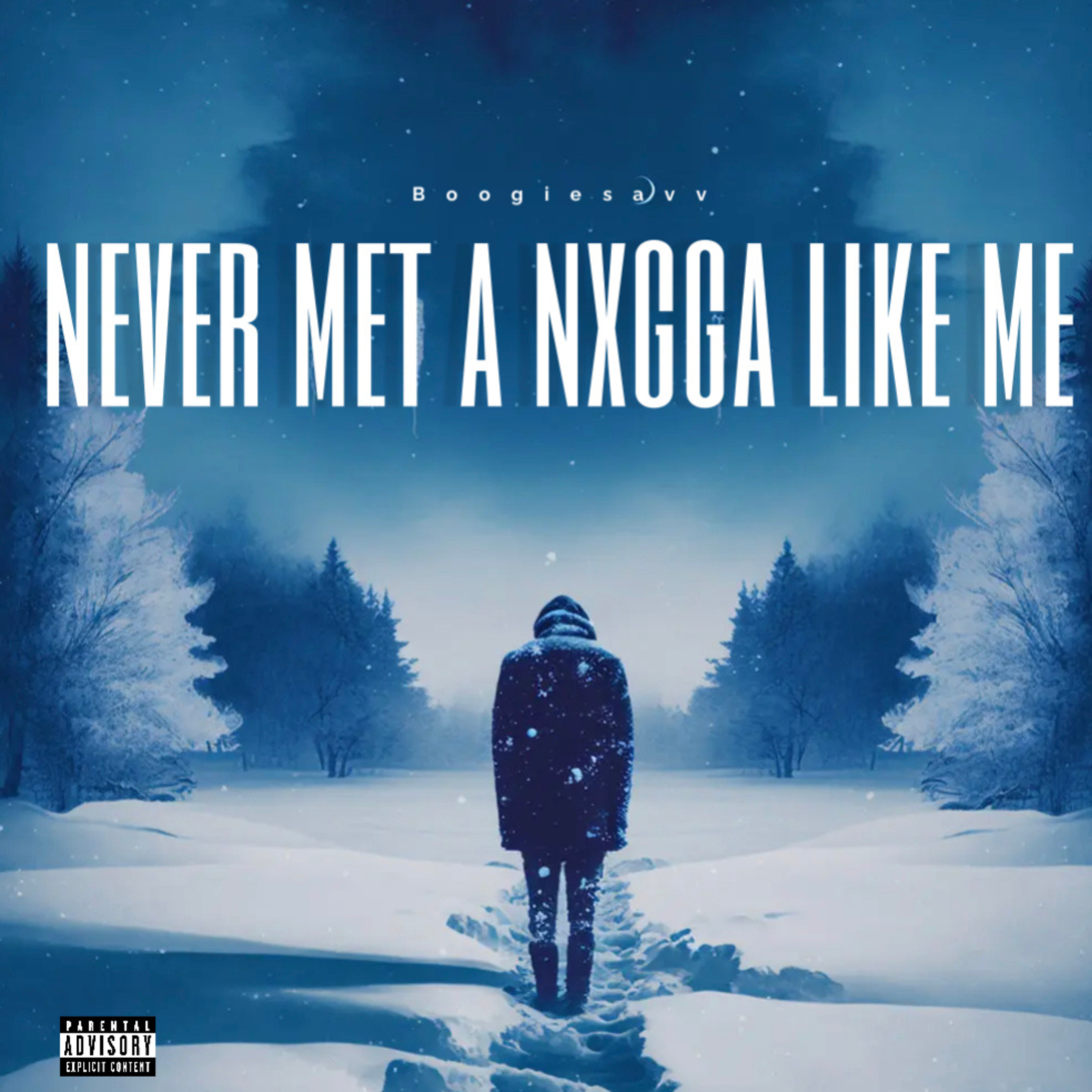 Never Met A Nxgga like Me artwork