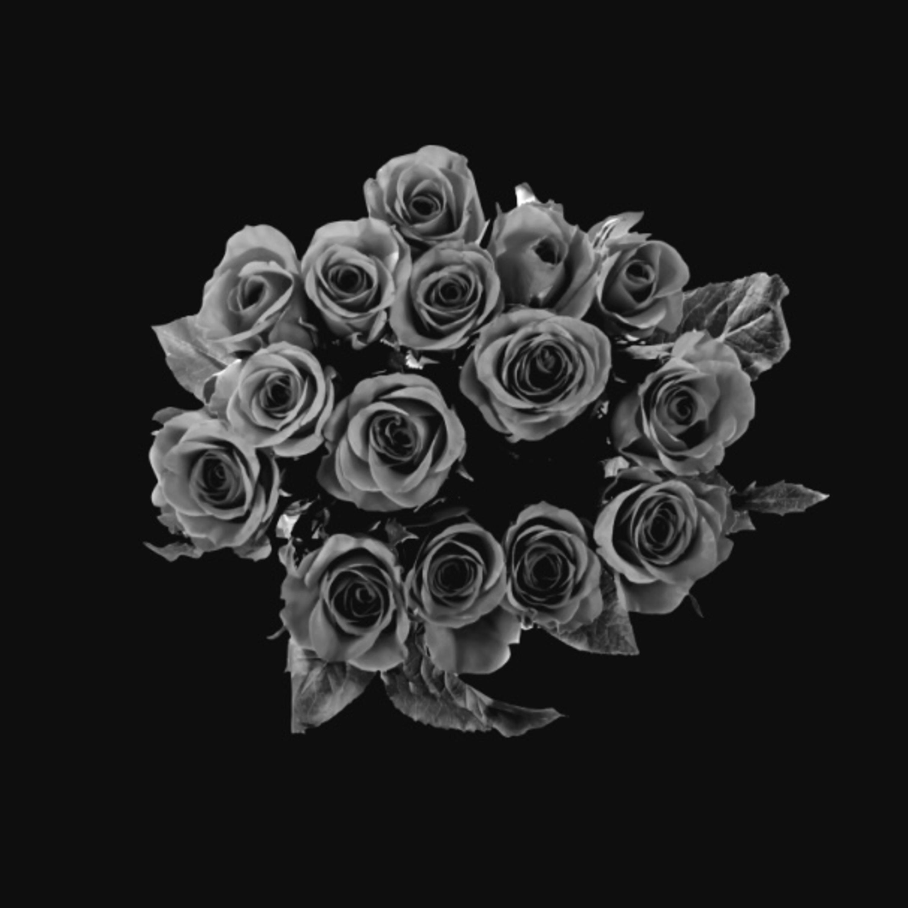 Roses artwork