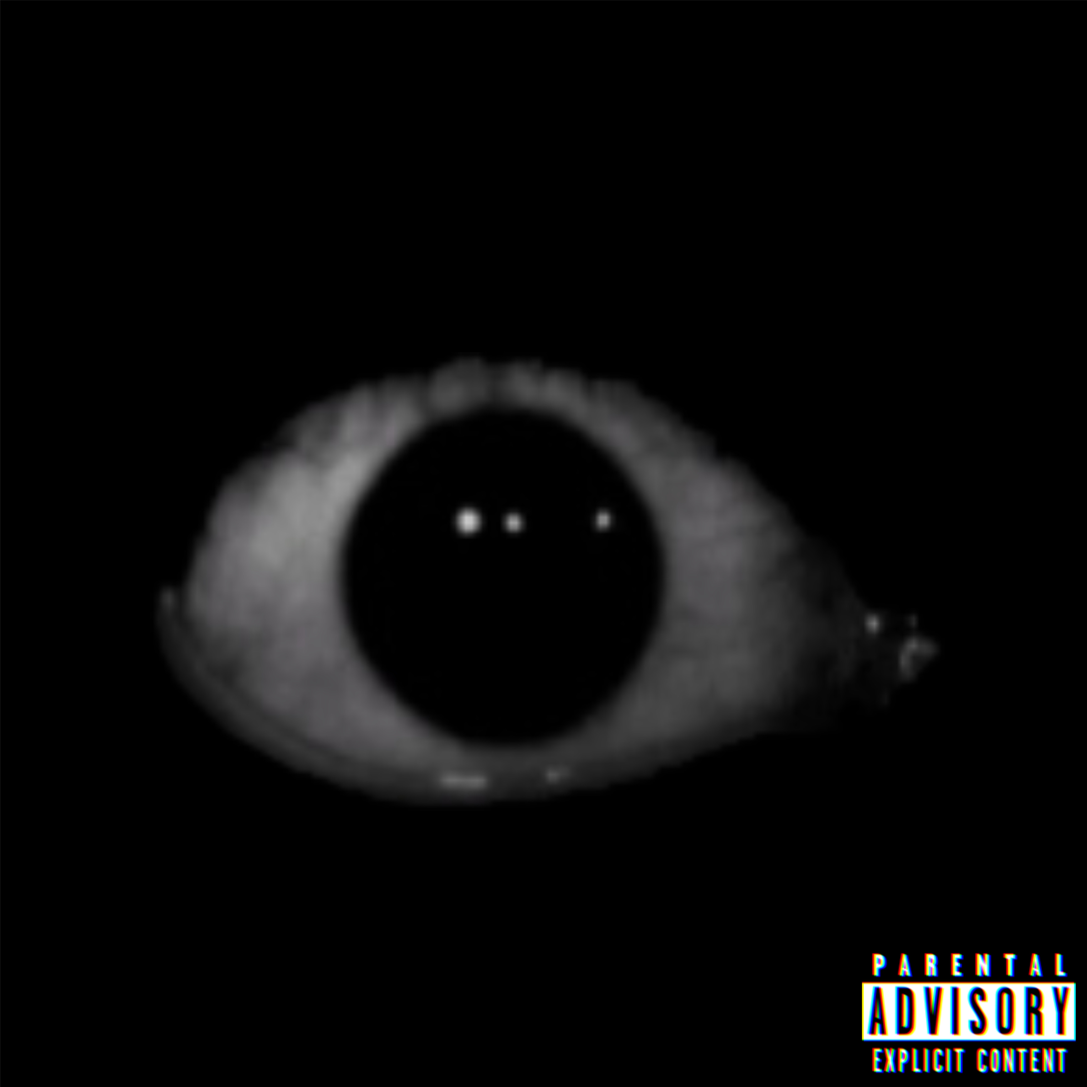 WHAT YOU HEARD artwork