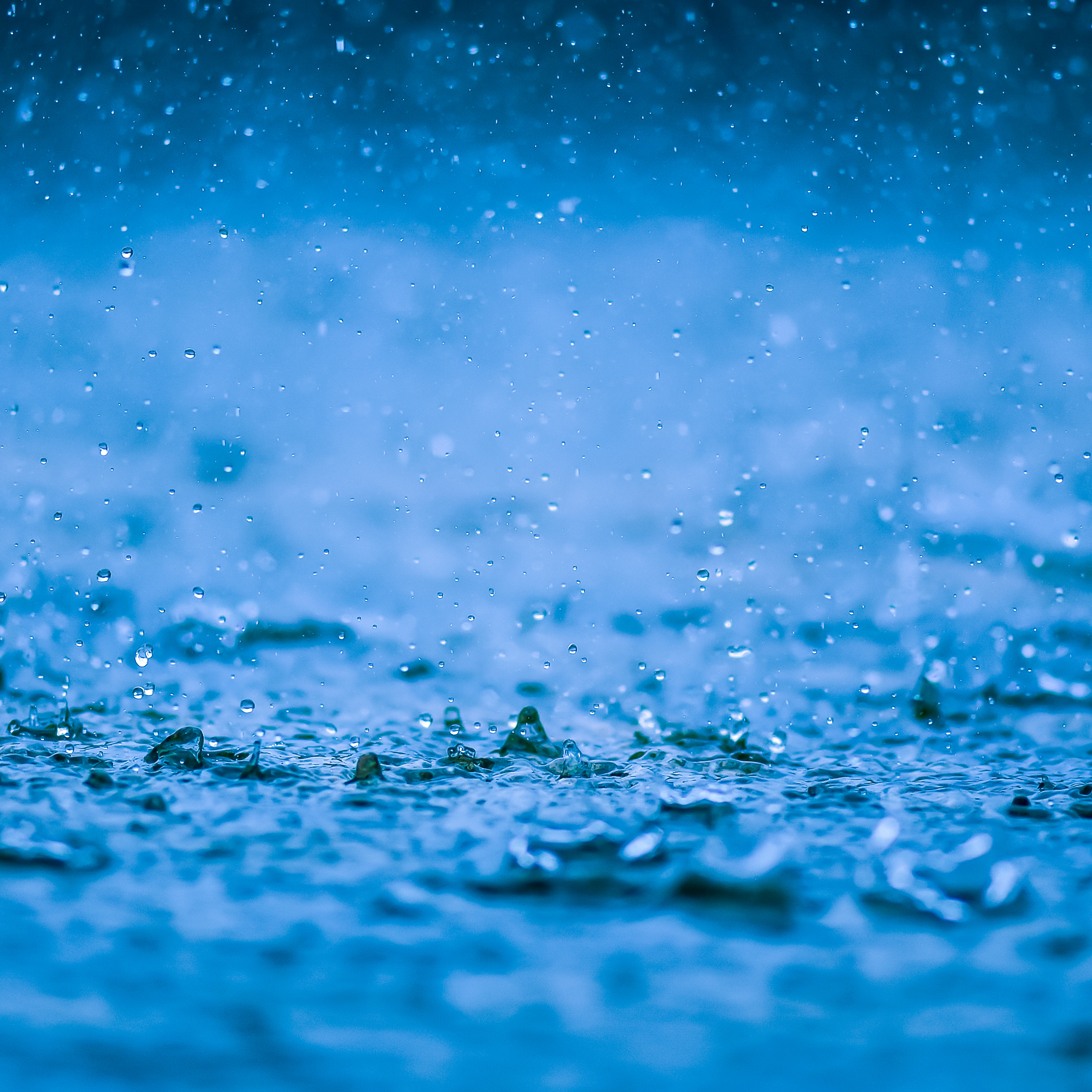 Relaxing Rain & Thunder Sounds artwork