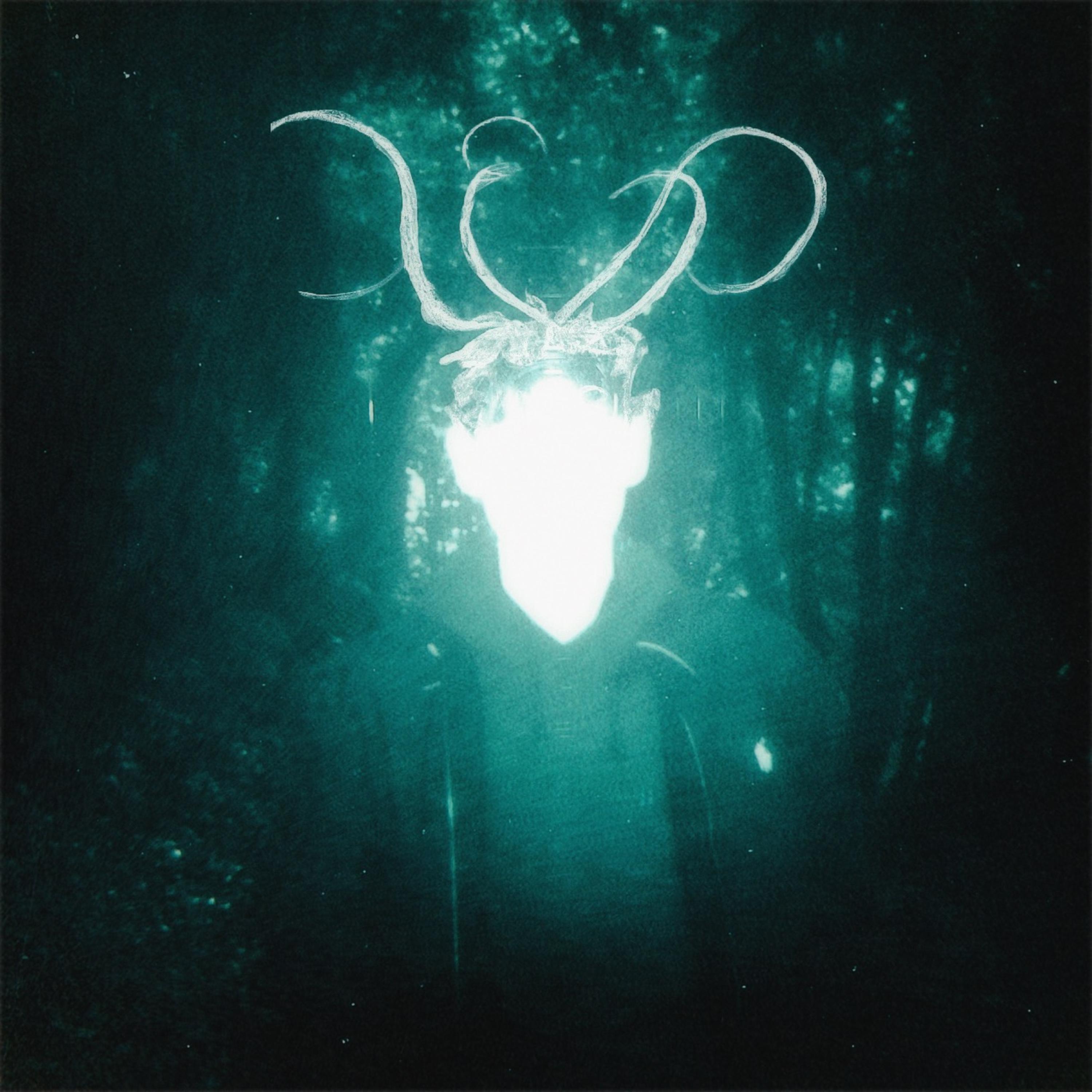 In The Woods artwork