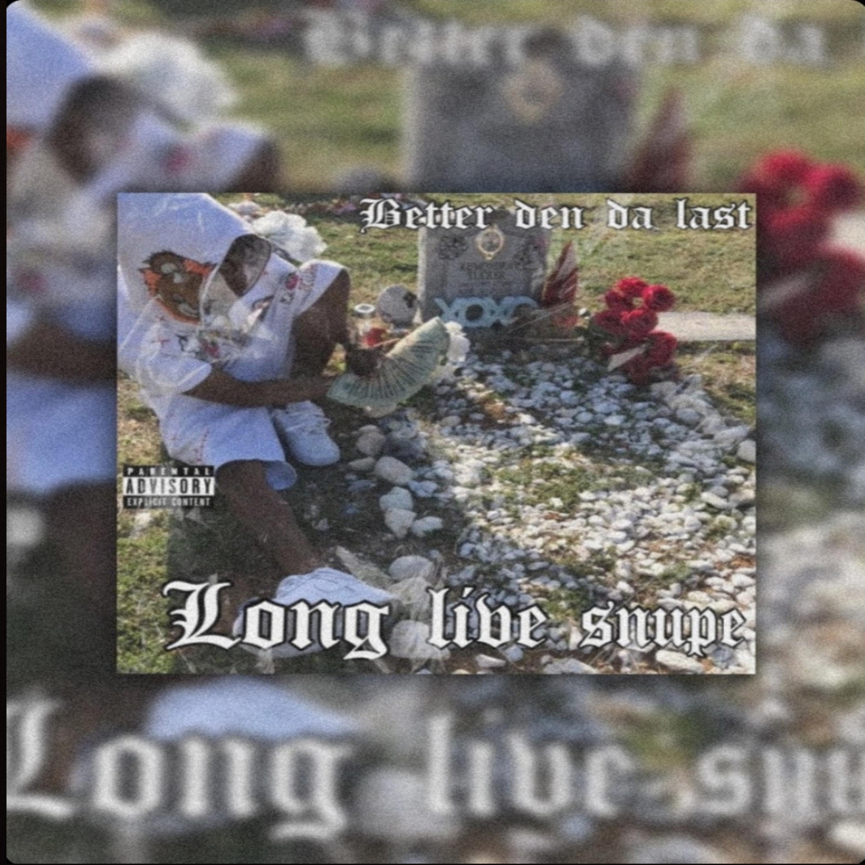 Long Live Snupe artwork