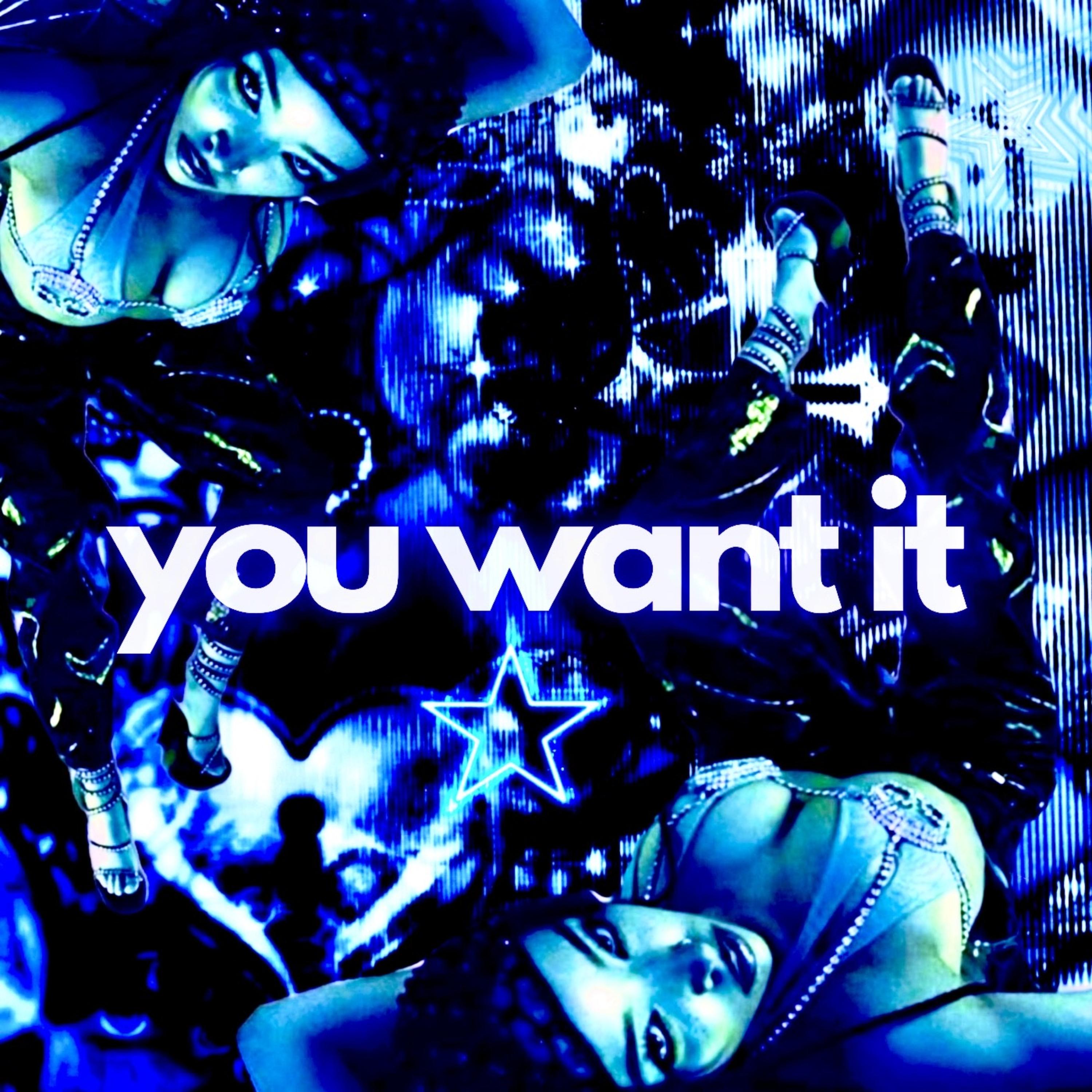 You Want It artwork