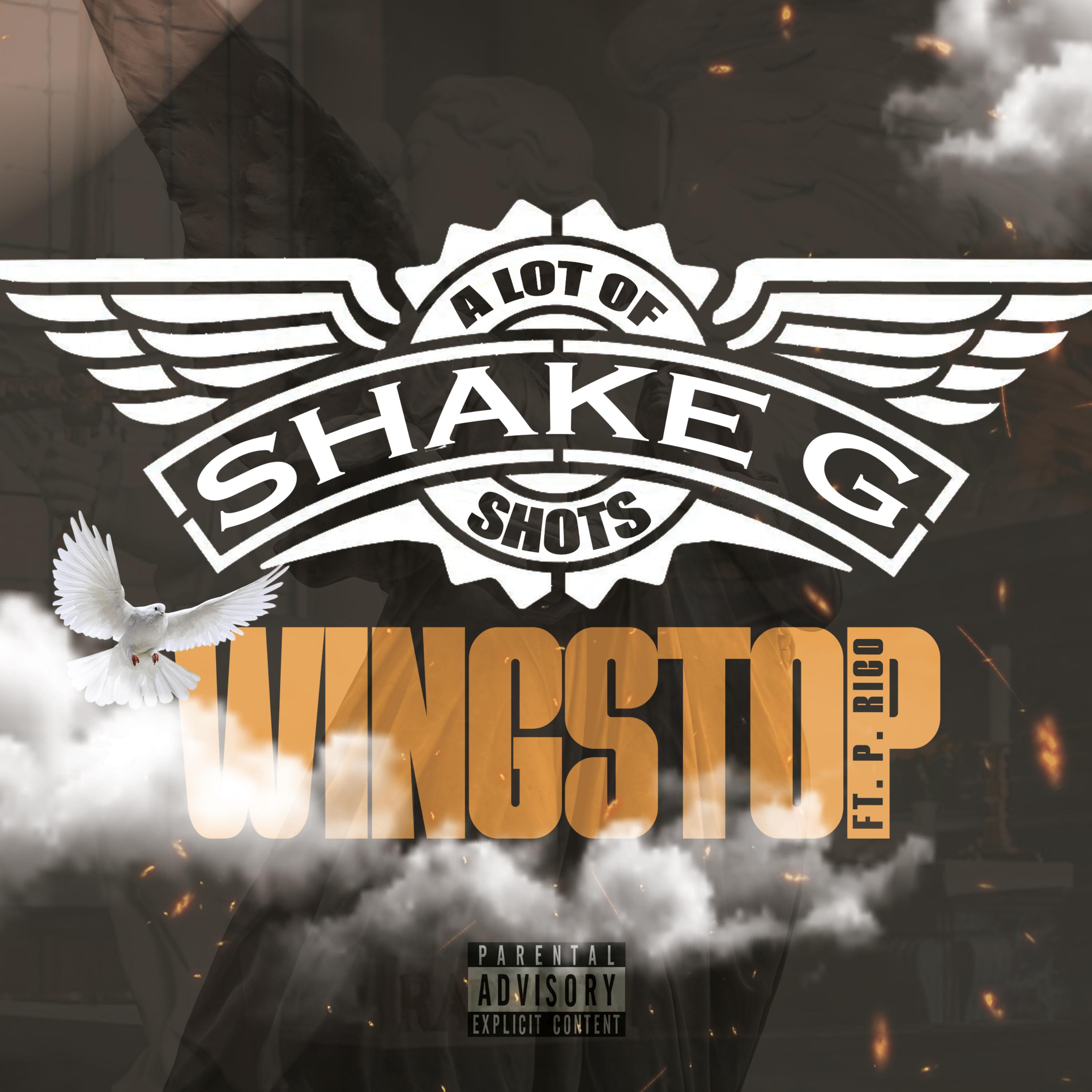 Wingstop artwork
