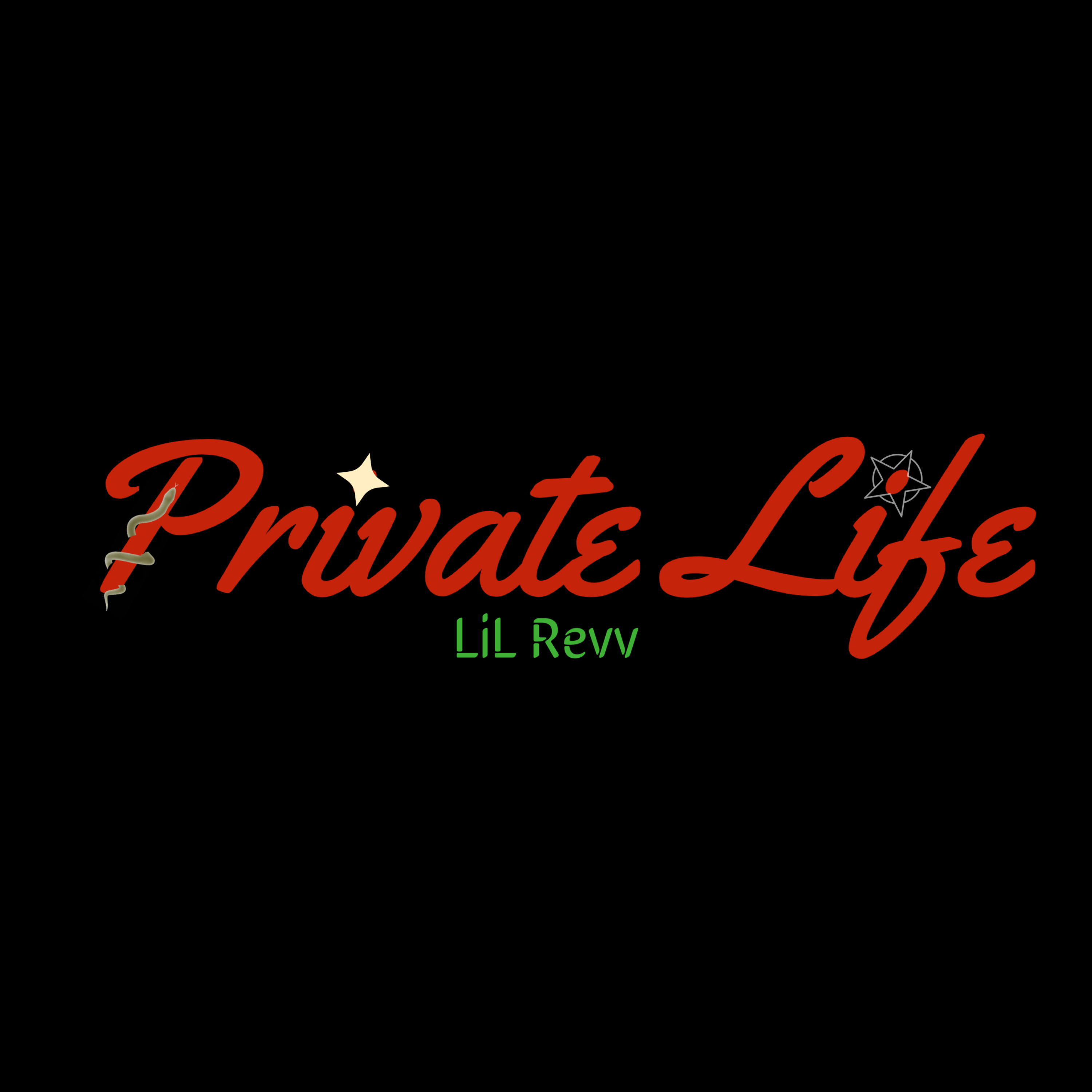 Private Life artwork