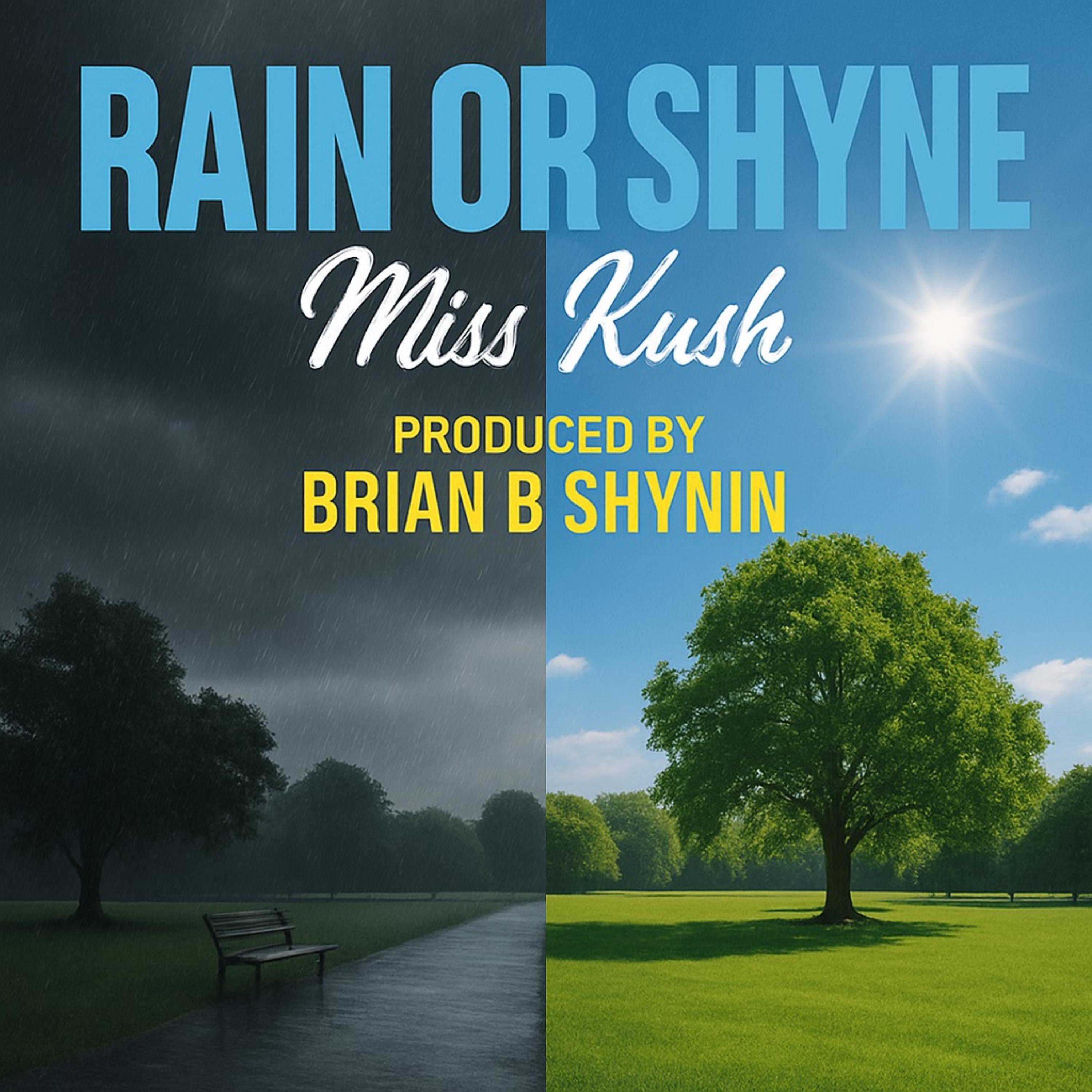Rain Or Shyne artwork