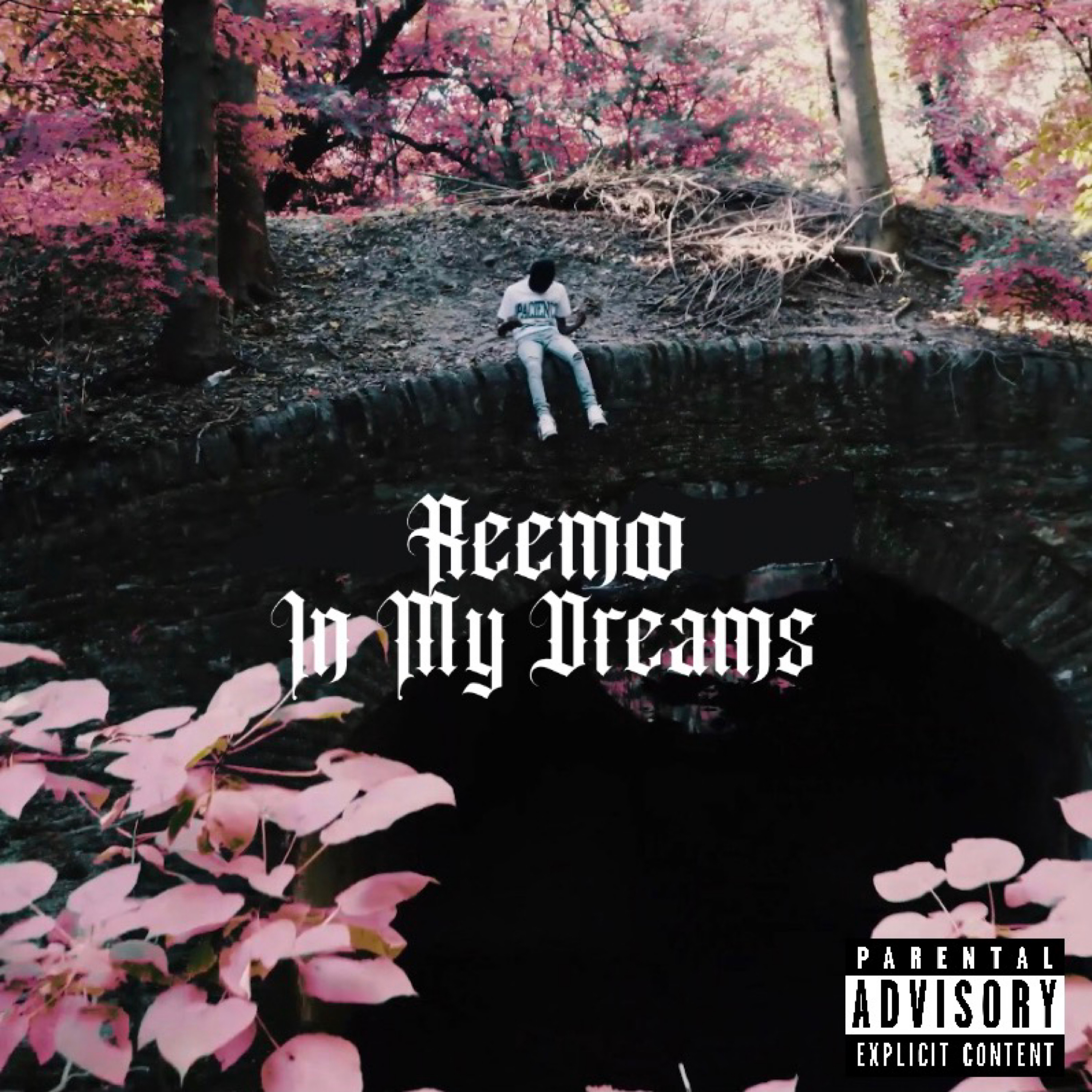 In My Dreams artwork