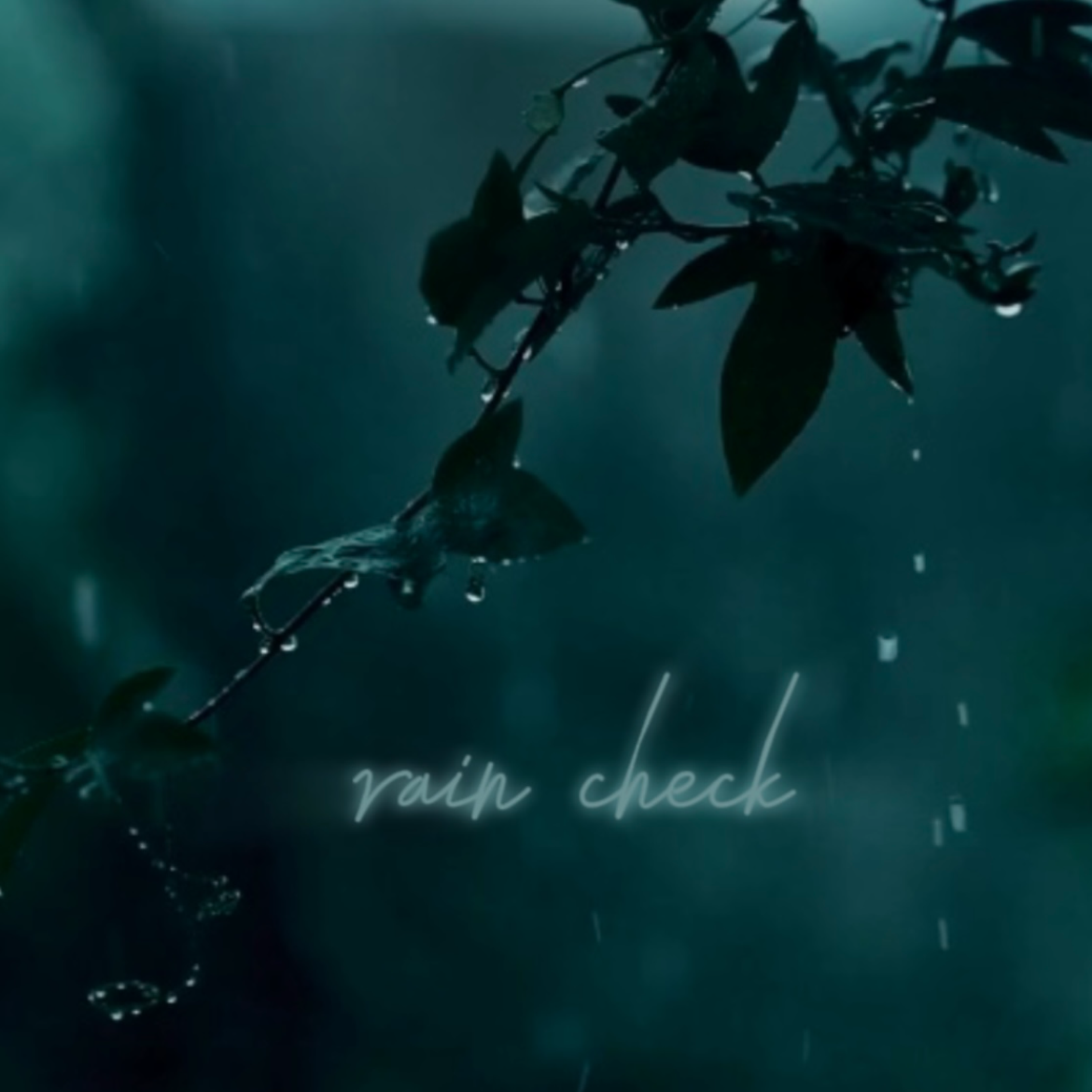 rain check artwork
