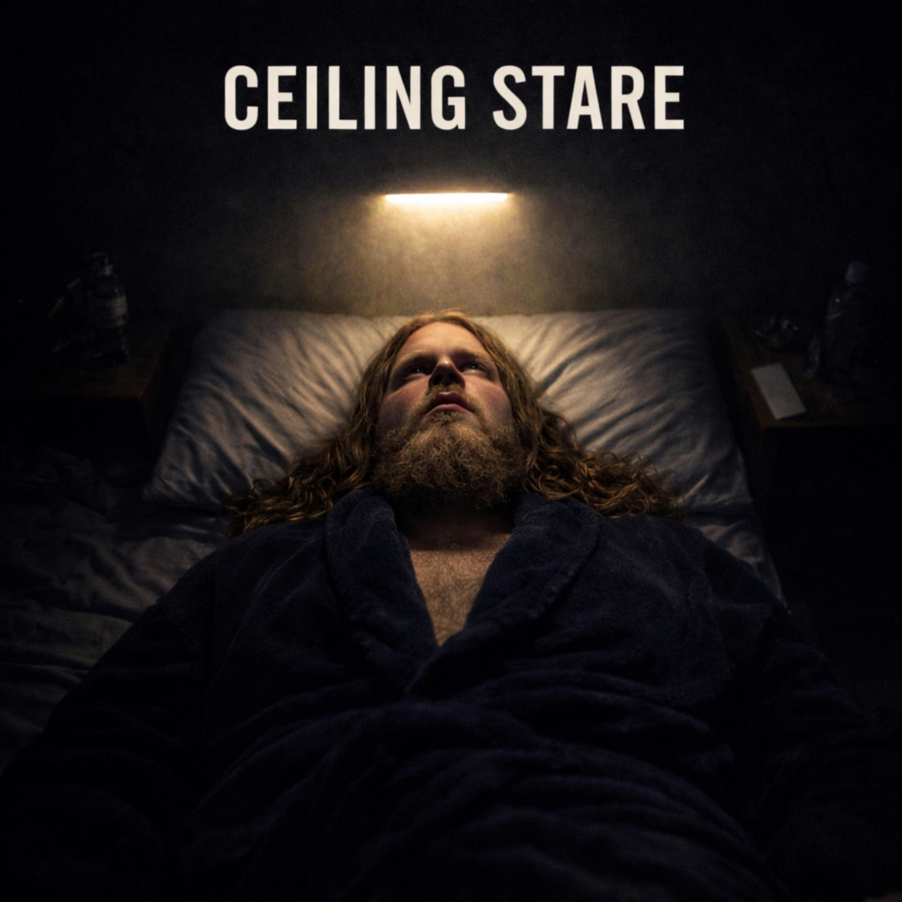 Ceiling Stare artwork