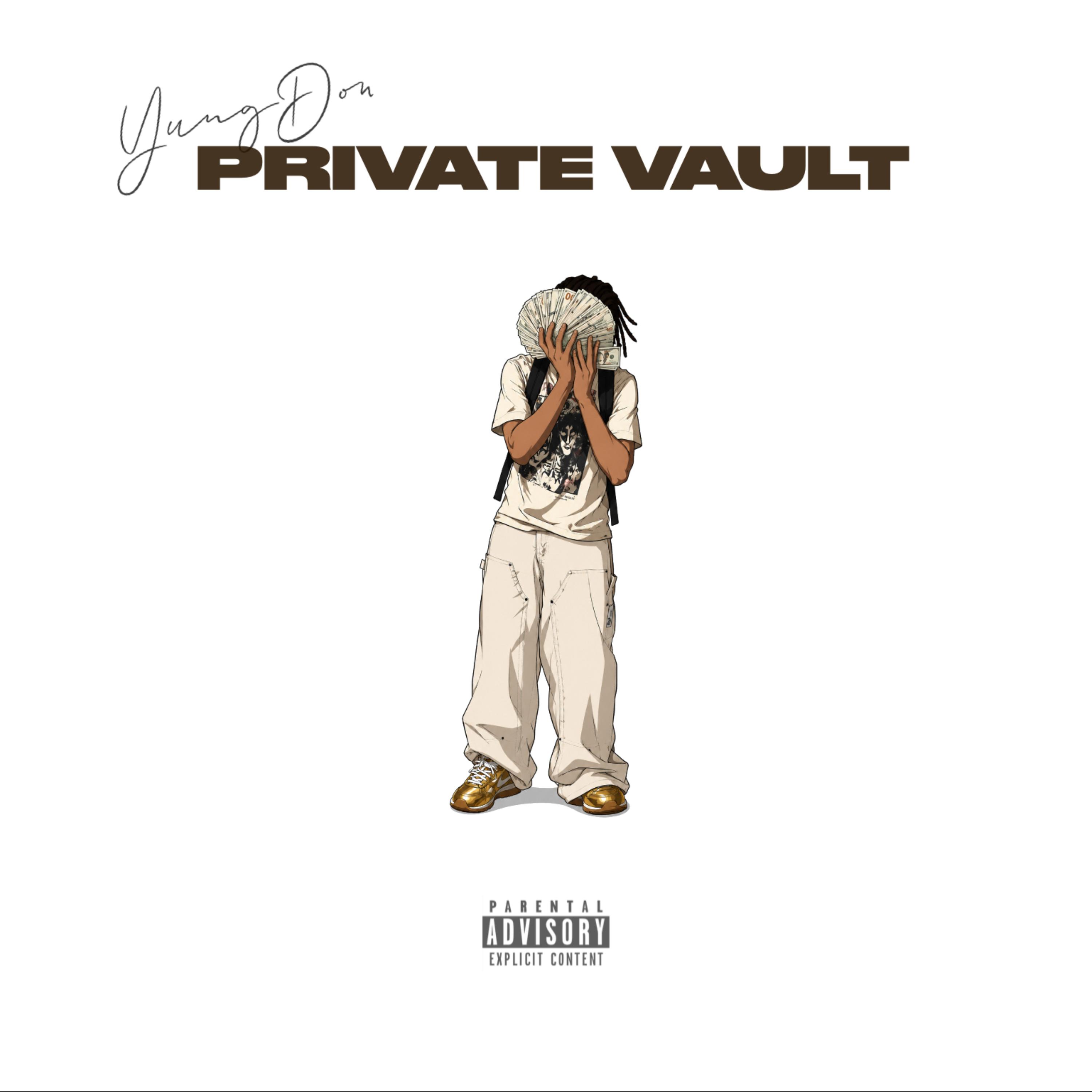Private Vault by Yungdon cover art