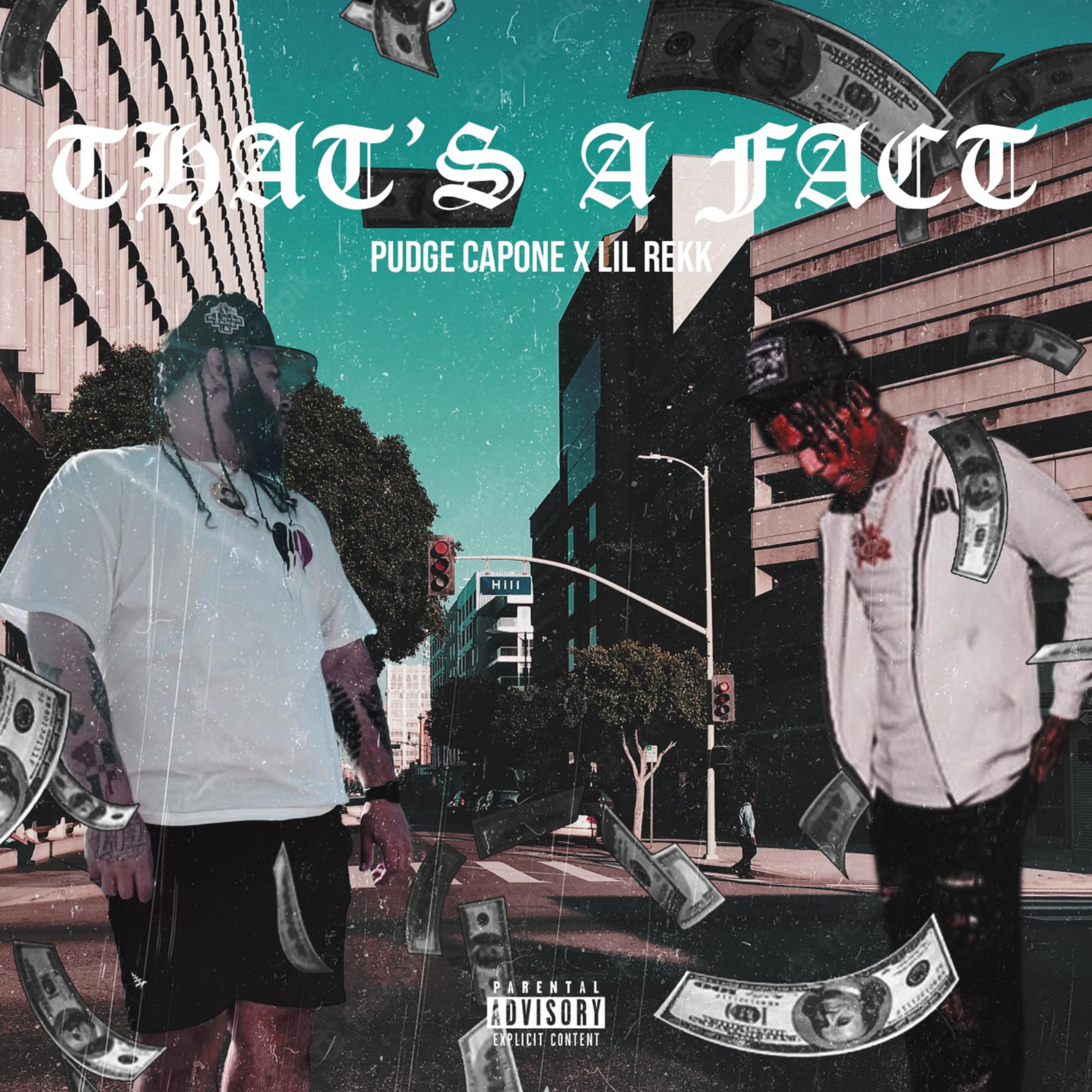 Thats A Fact artwork