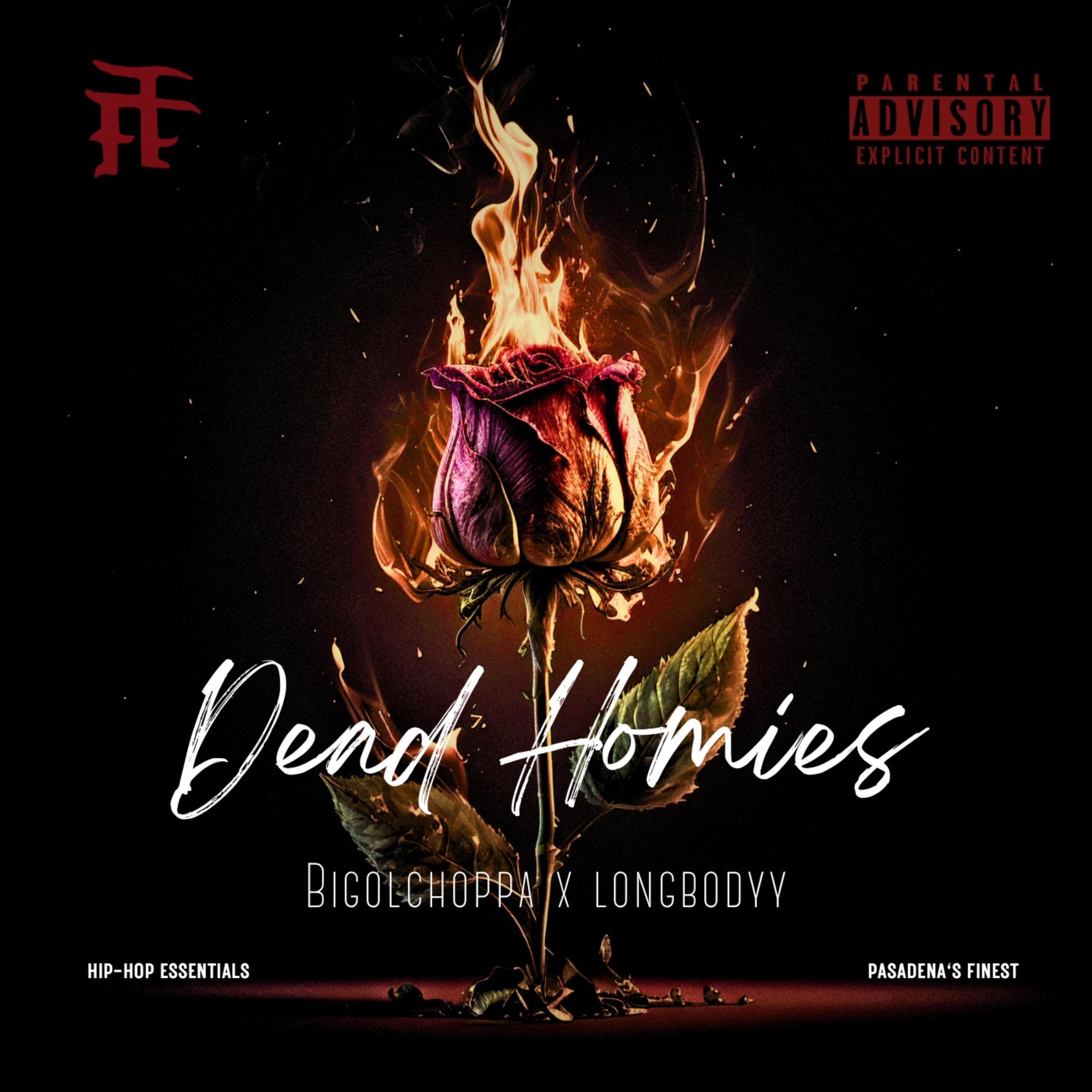 Dead Homies artwork
