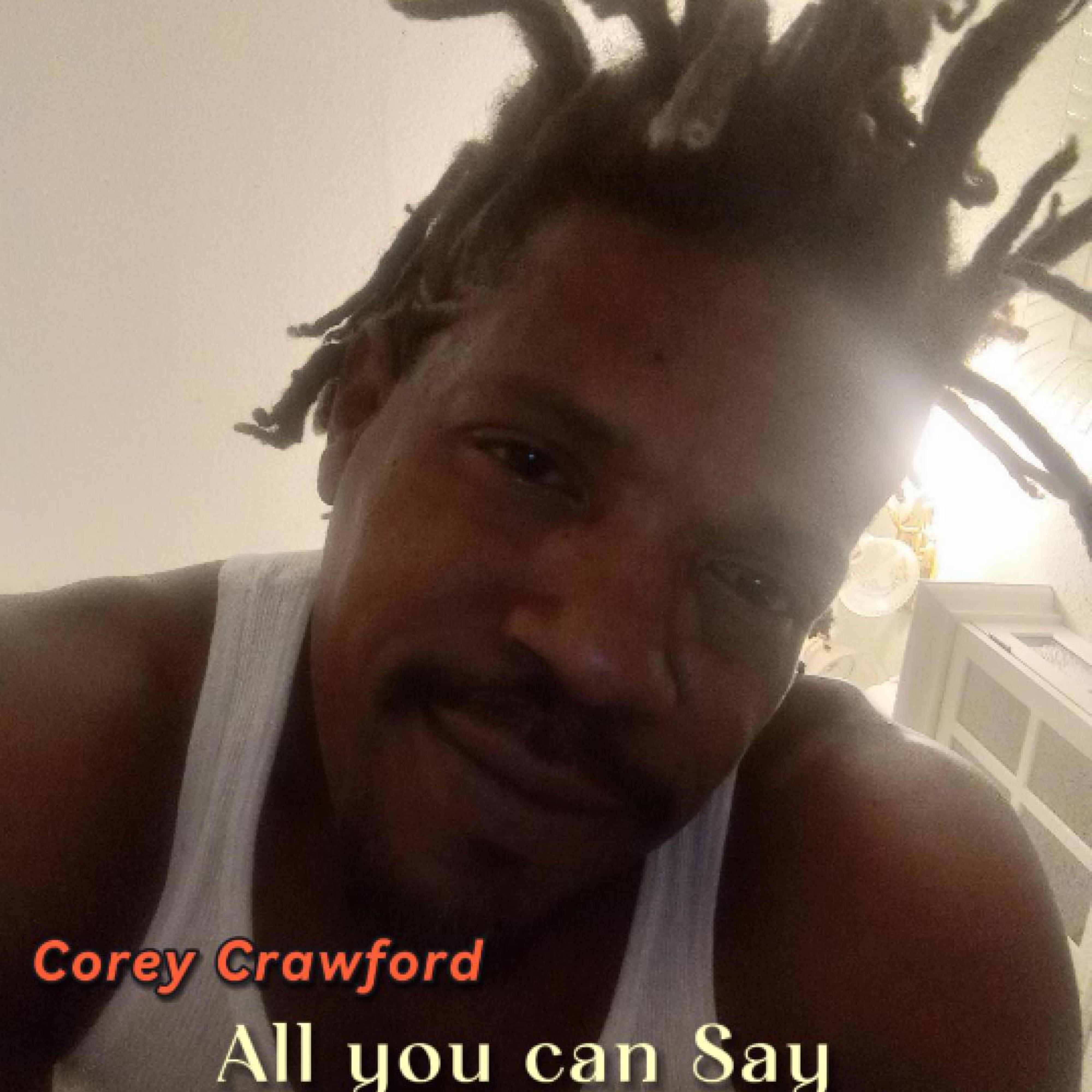 All you can Say artwork