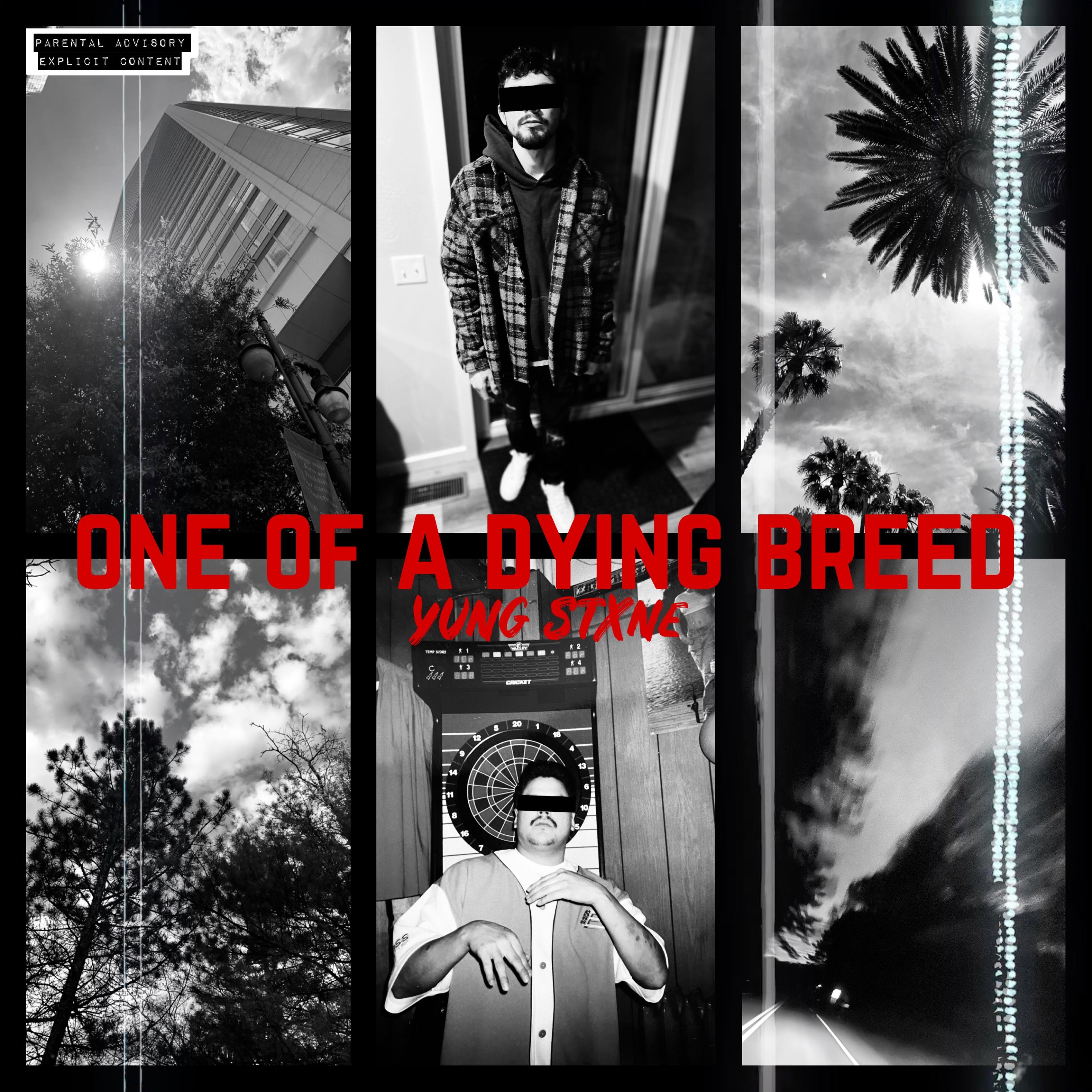 One Of A Dying Breed artwork