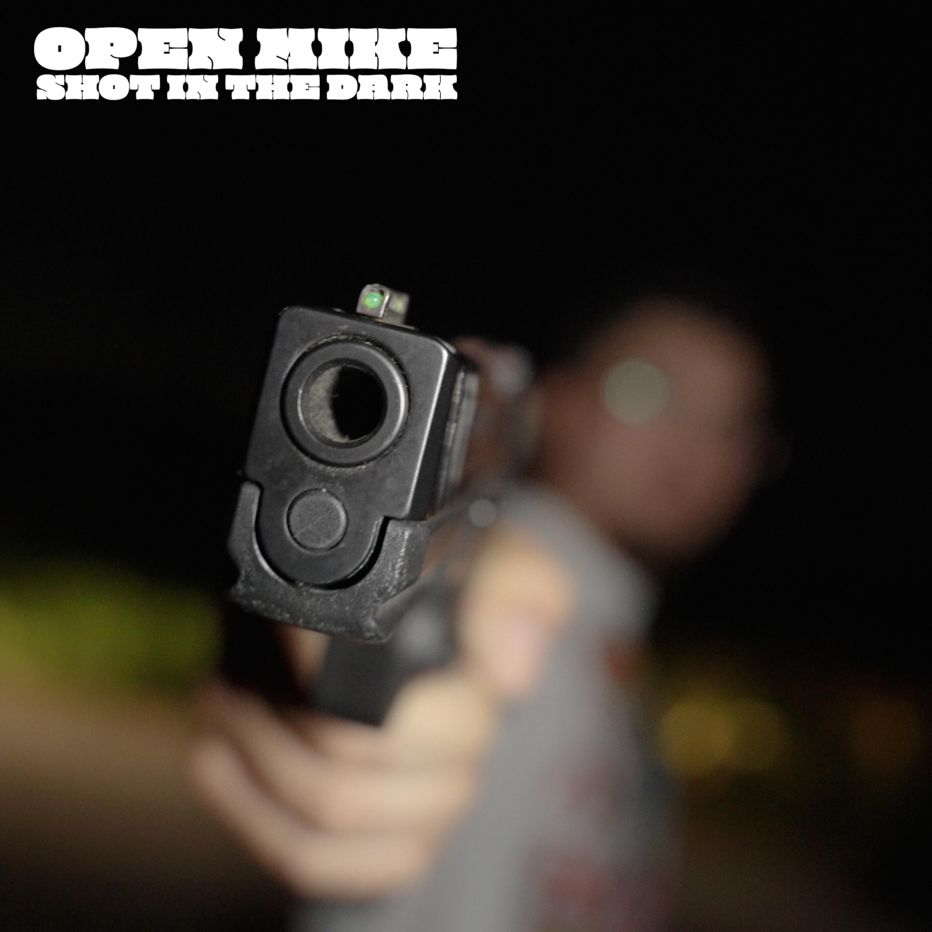 Shot In The Dark artwork