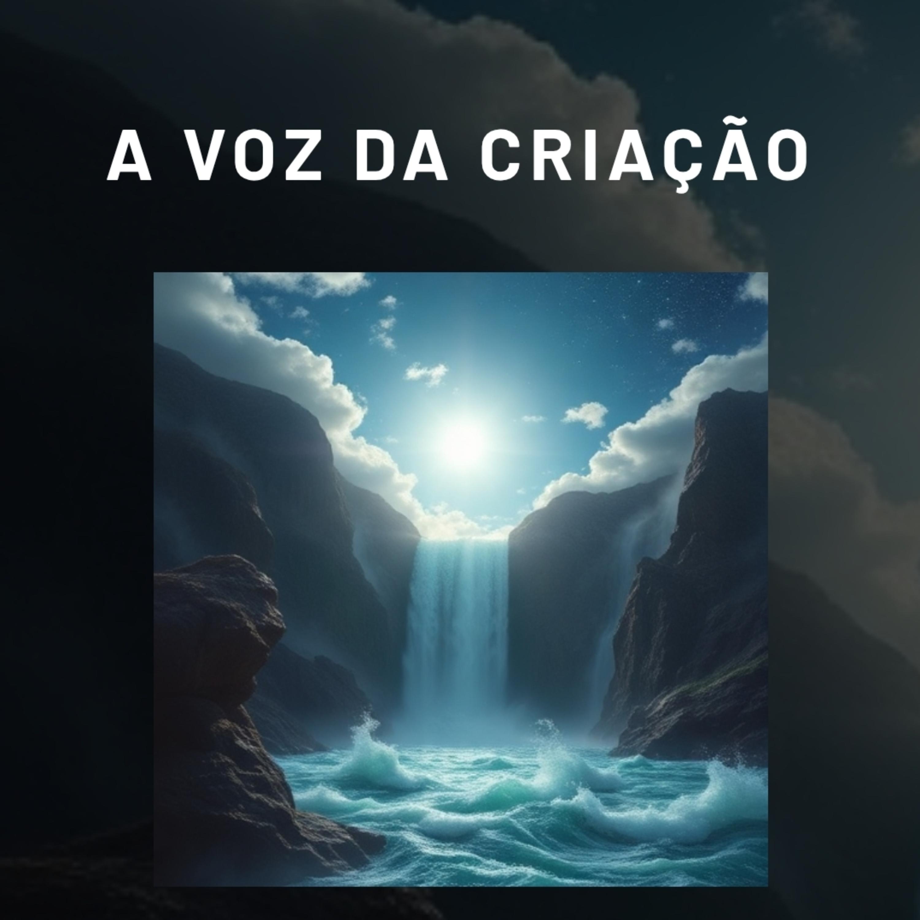 VOZ DA CRIAÇÃO artwork