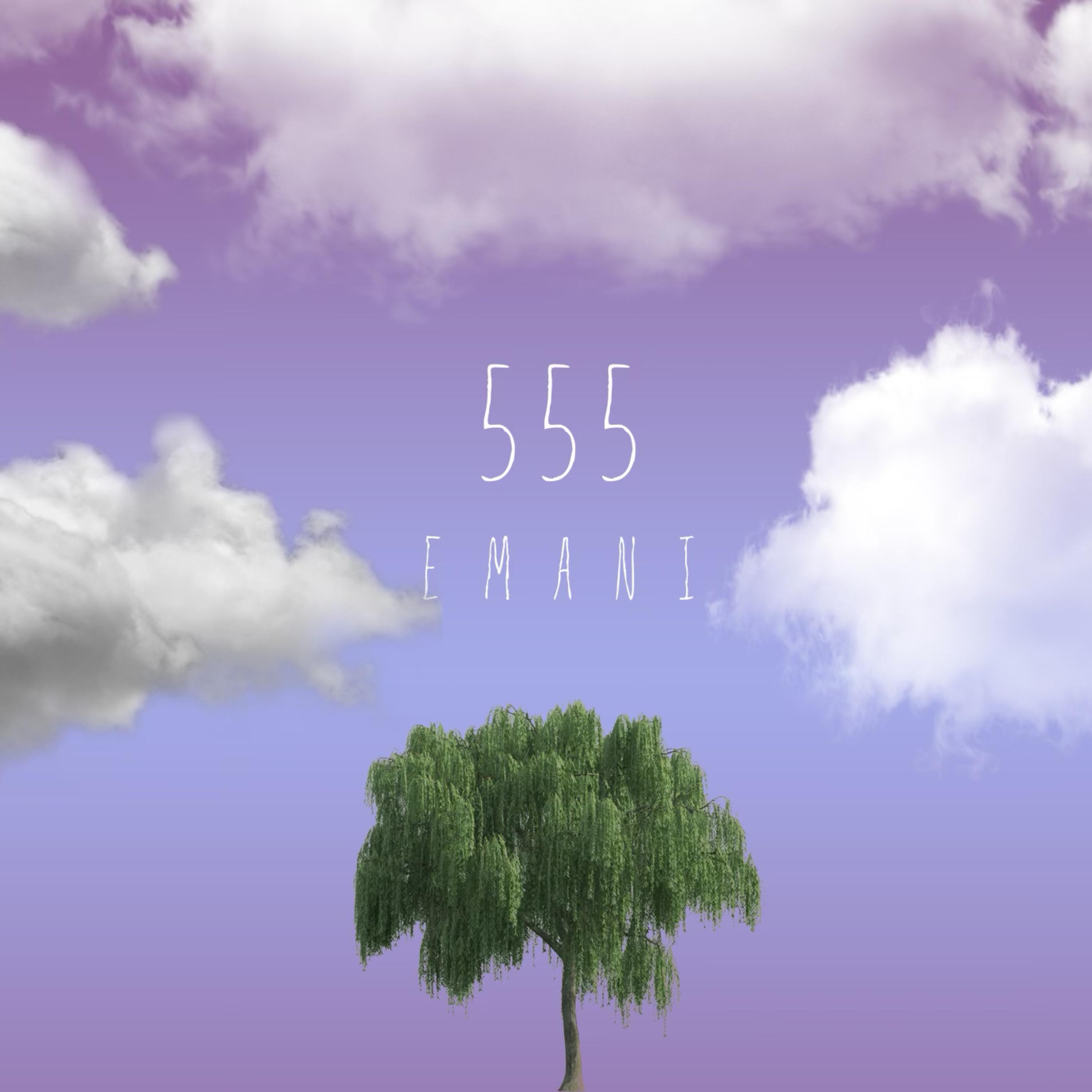 555 artwork