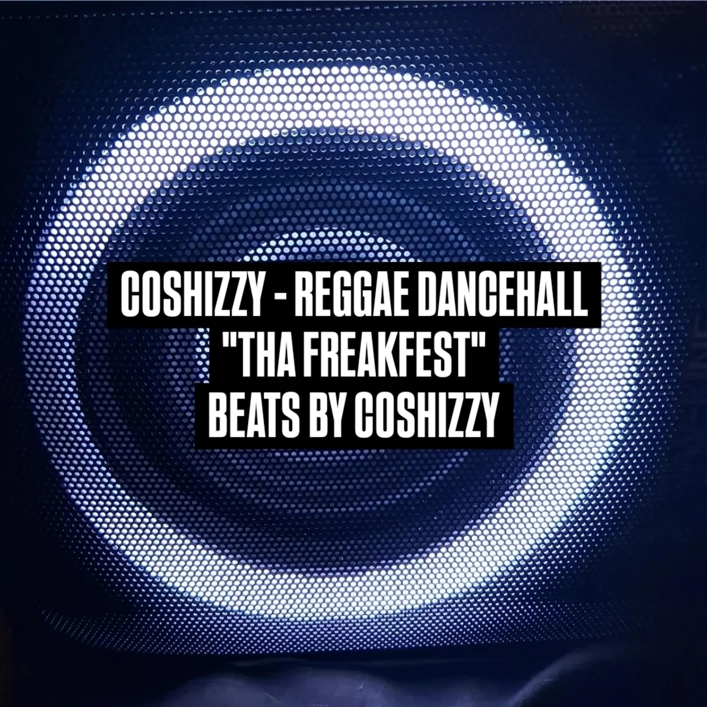 REGGAE DANCEHALL THA FREAKFEST by coshizzy cover art
