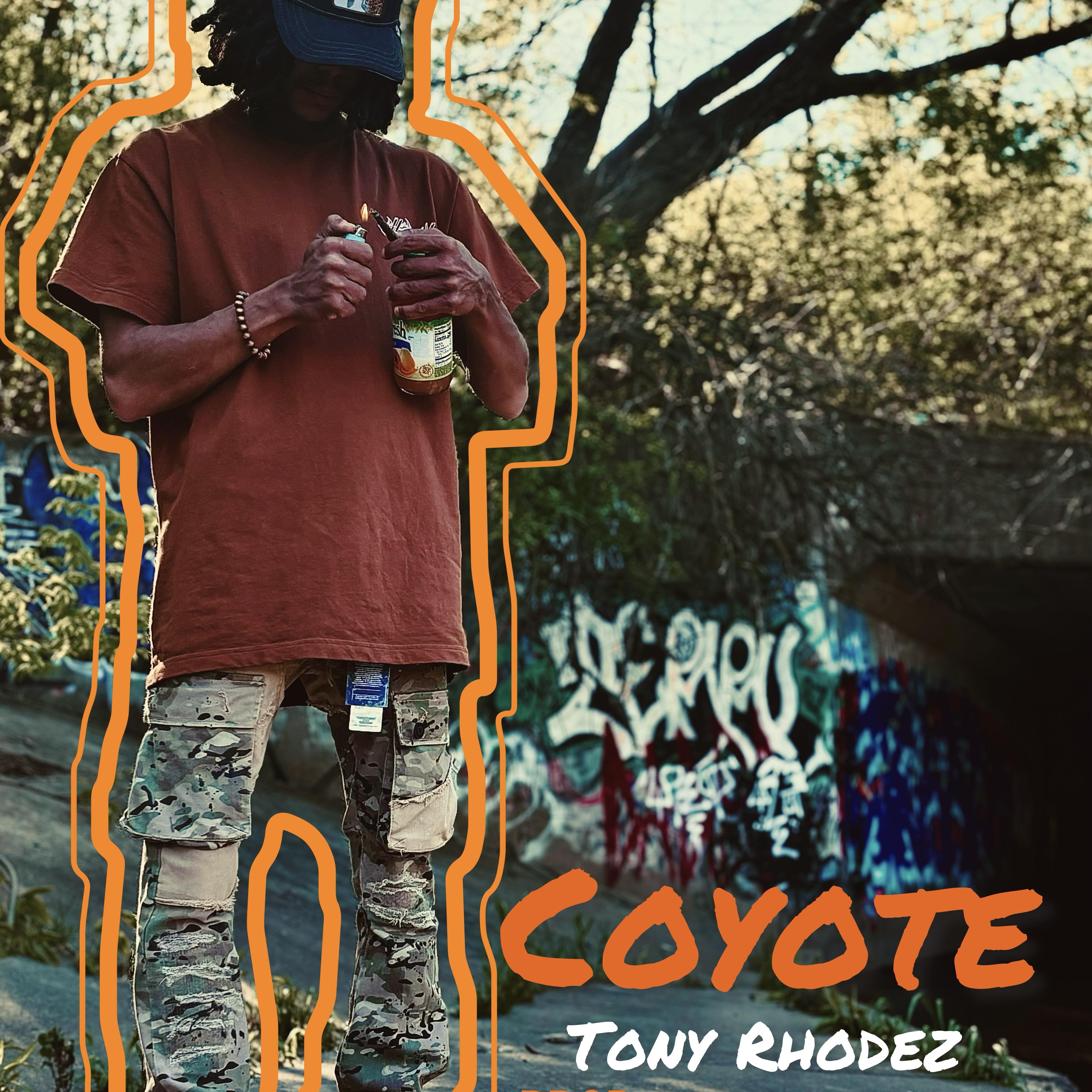 Coyote artwork