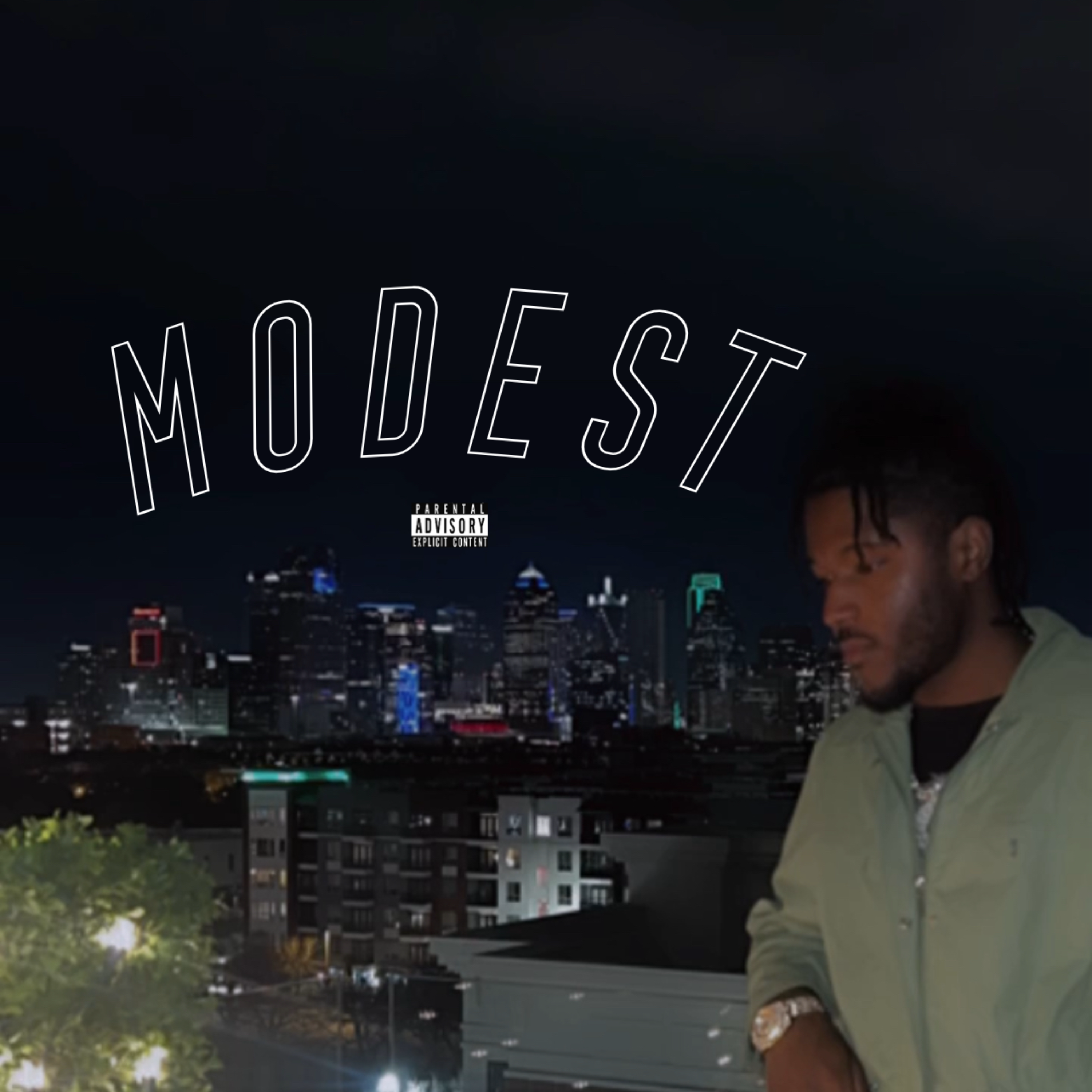 Modest (Freestyle) artwork