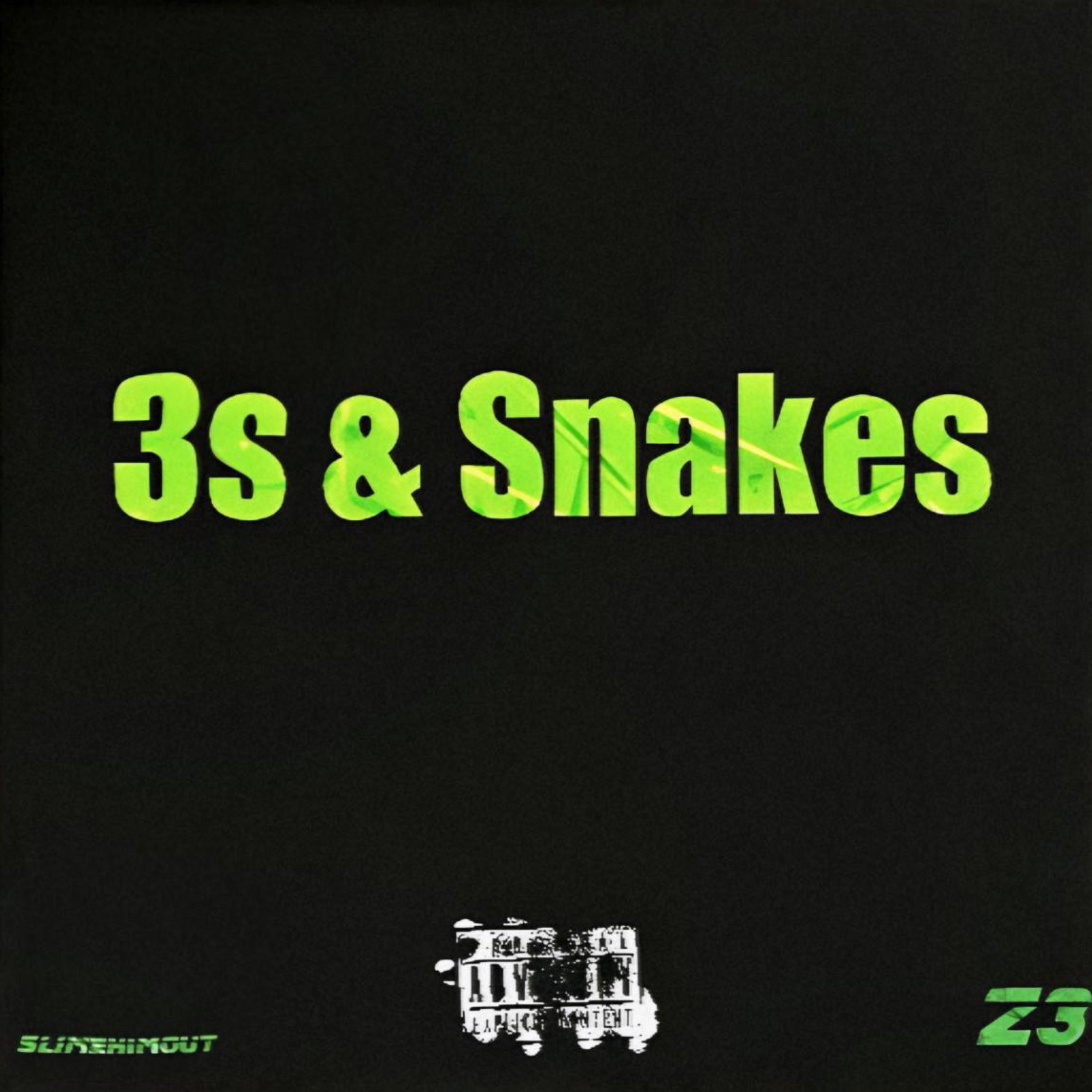 3s & Snakes artwork
