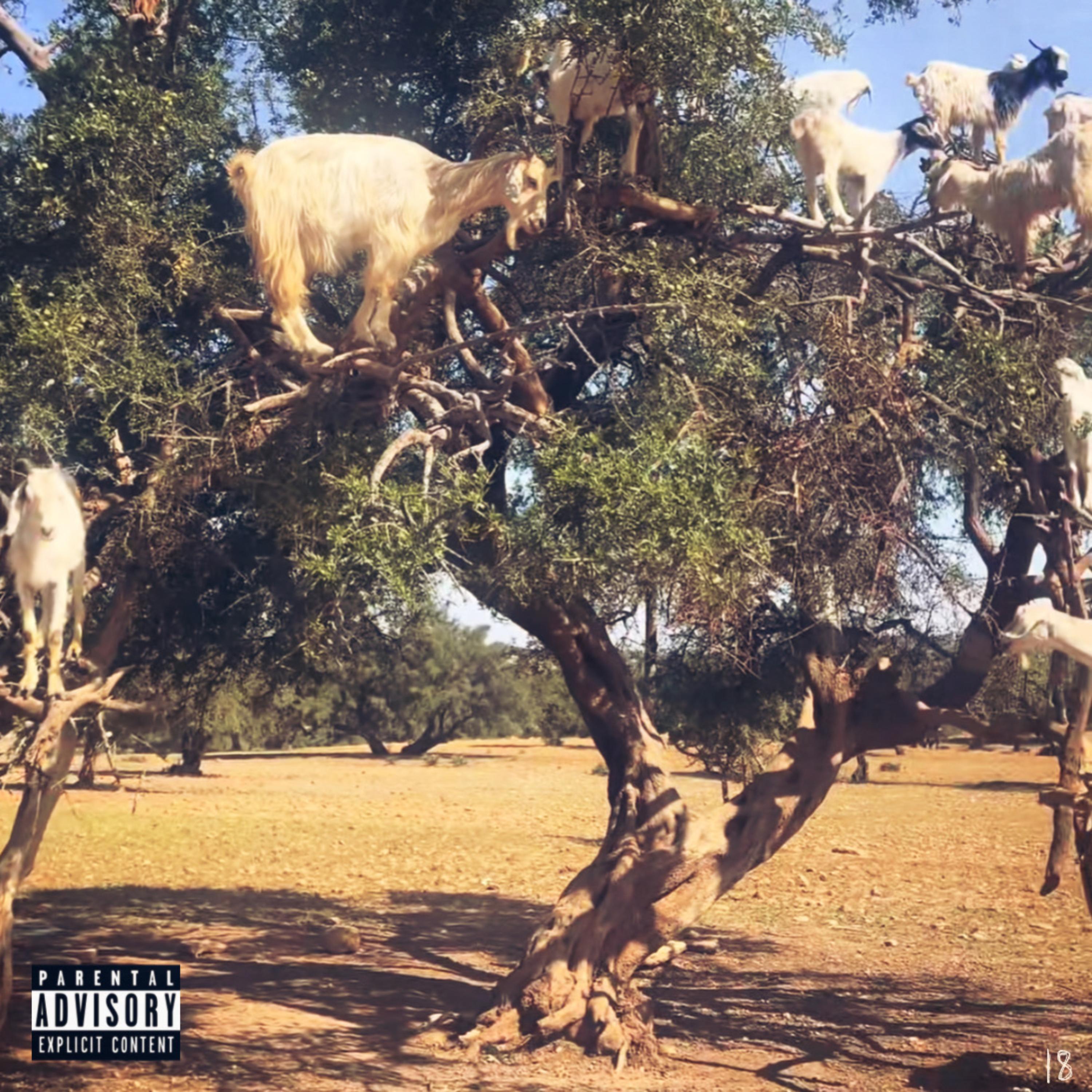 18 artwork