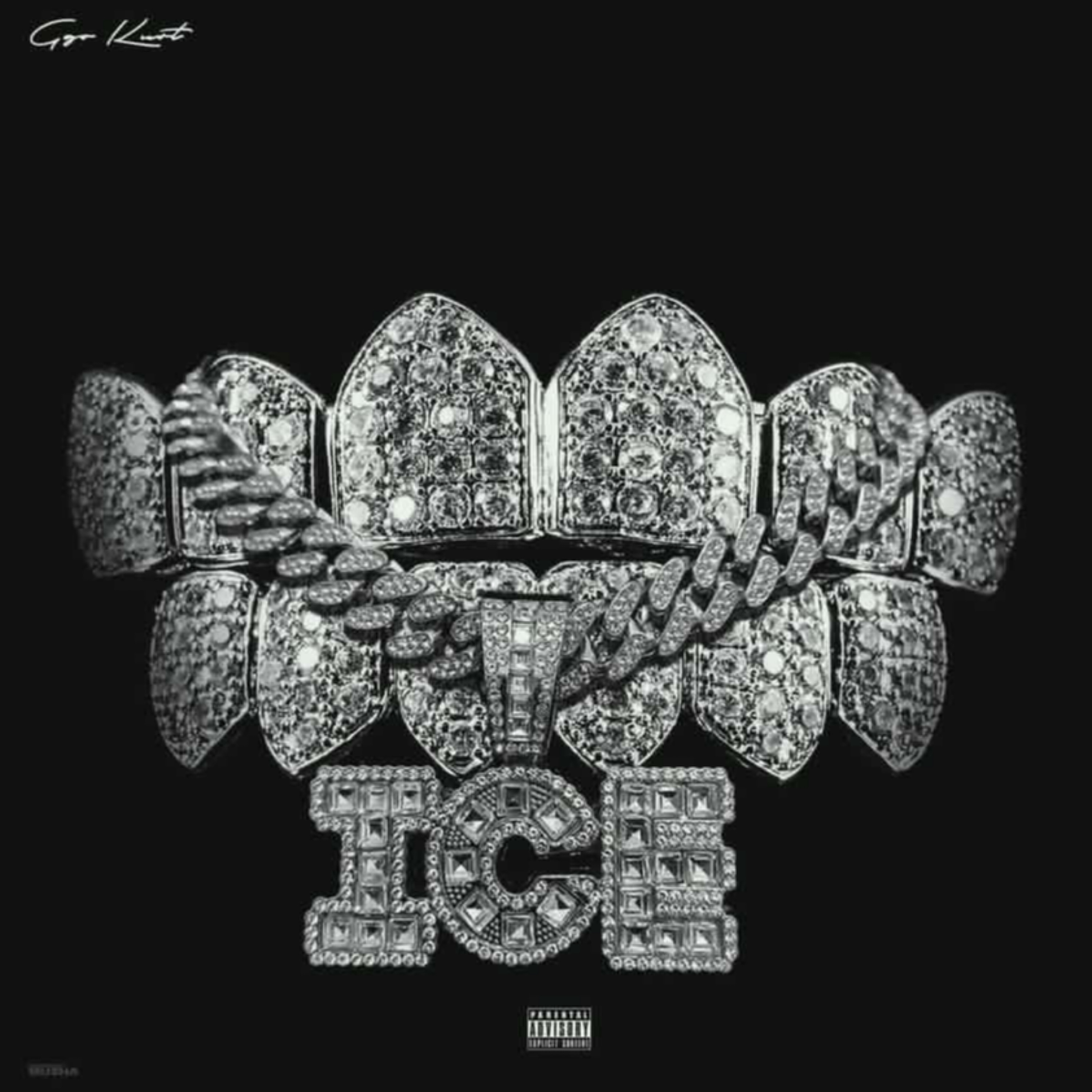 Ice artwork