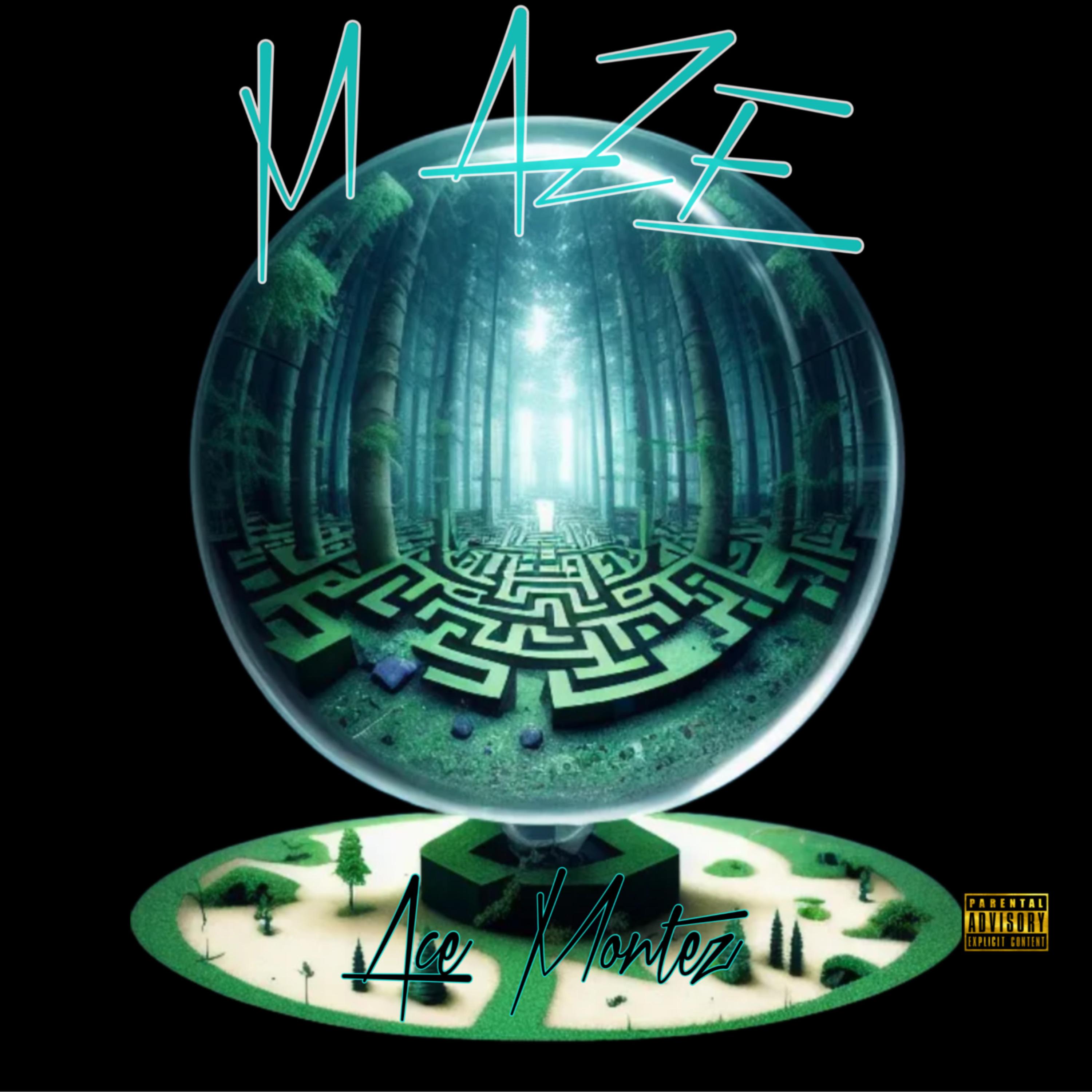 MAZE artwork
