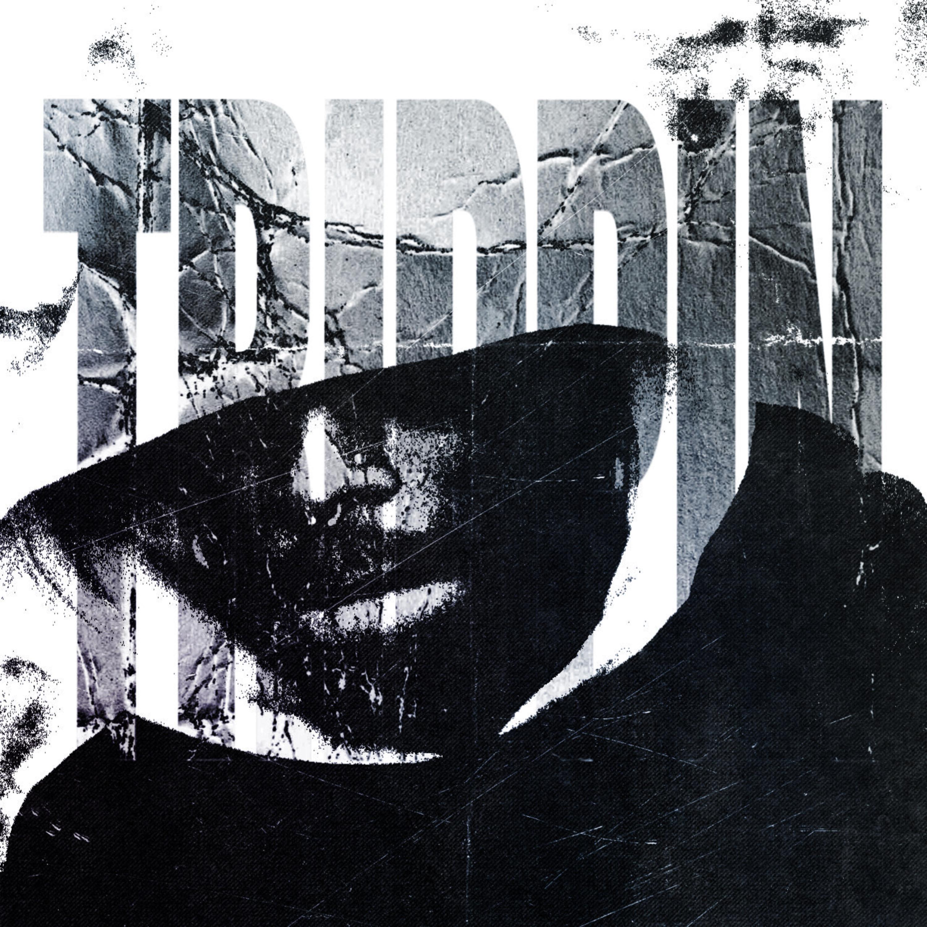 TRiPPiN artwork