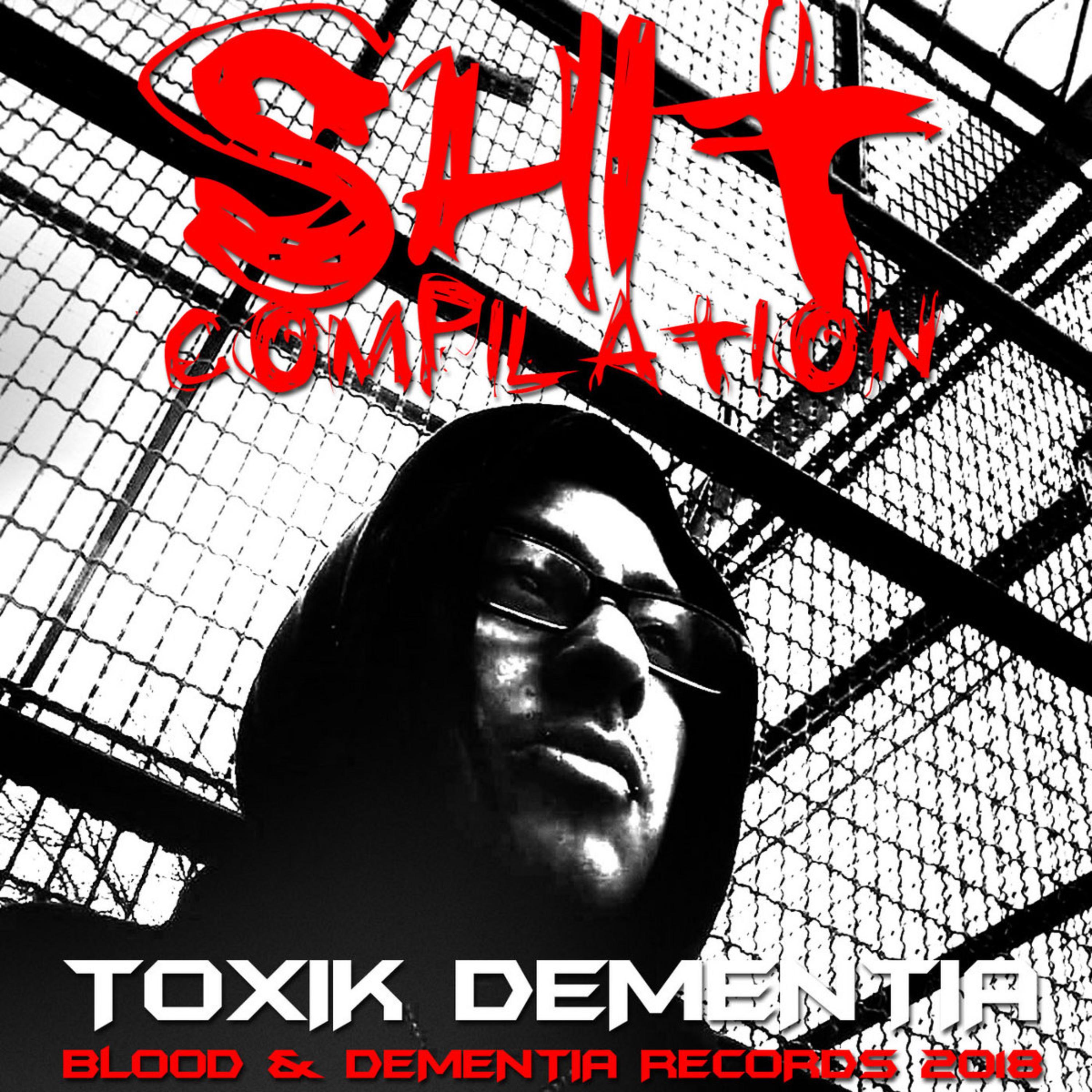 Shit Compilation (2018) by TOXIK Dementia cover art