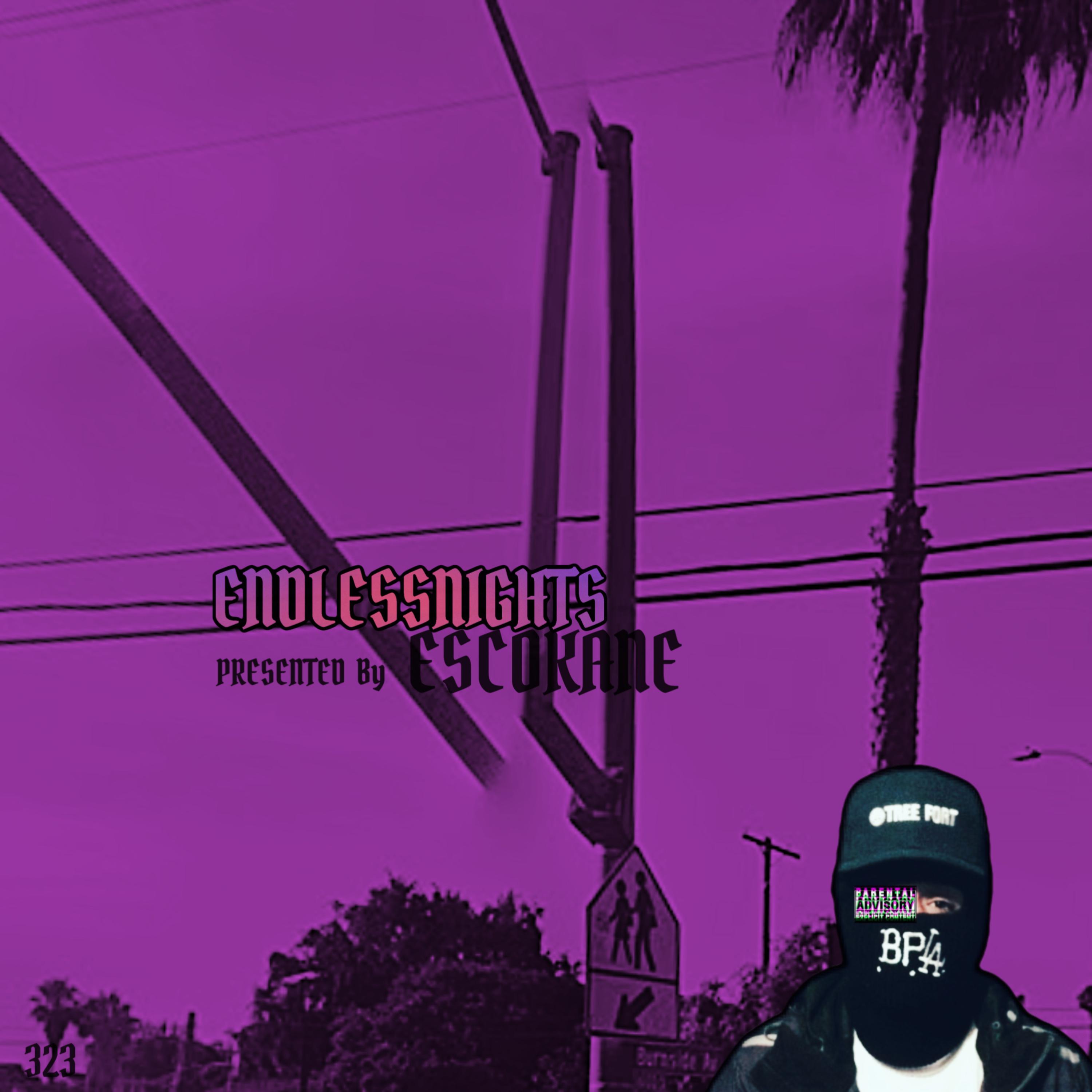 ENDLESS NIGHTS artwork