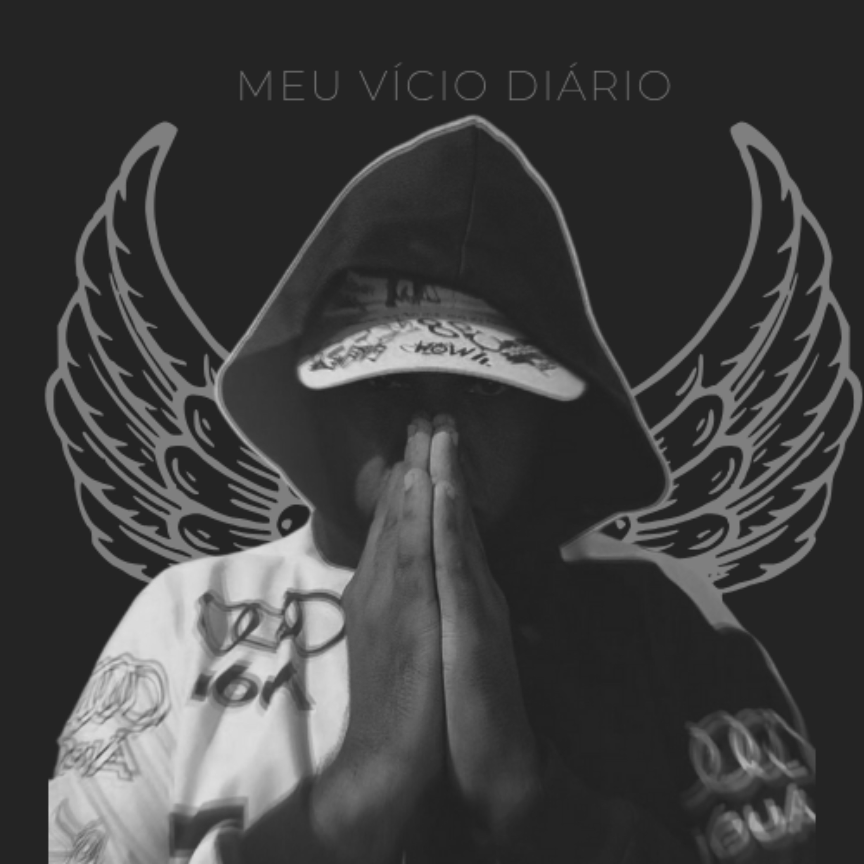 MEU VÍCIO DIÁRIO artwork
