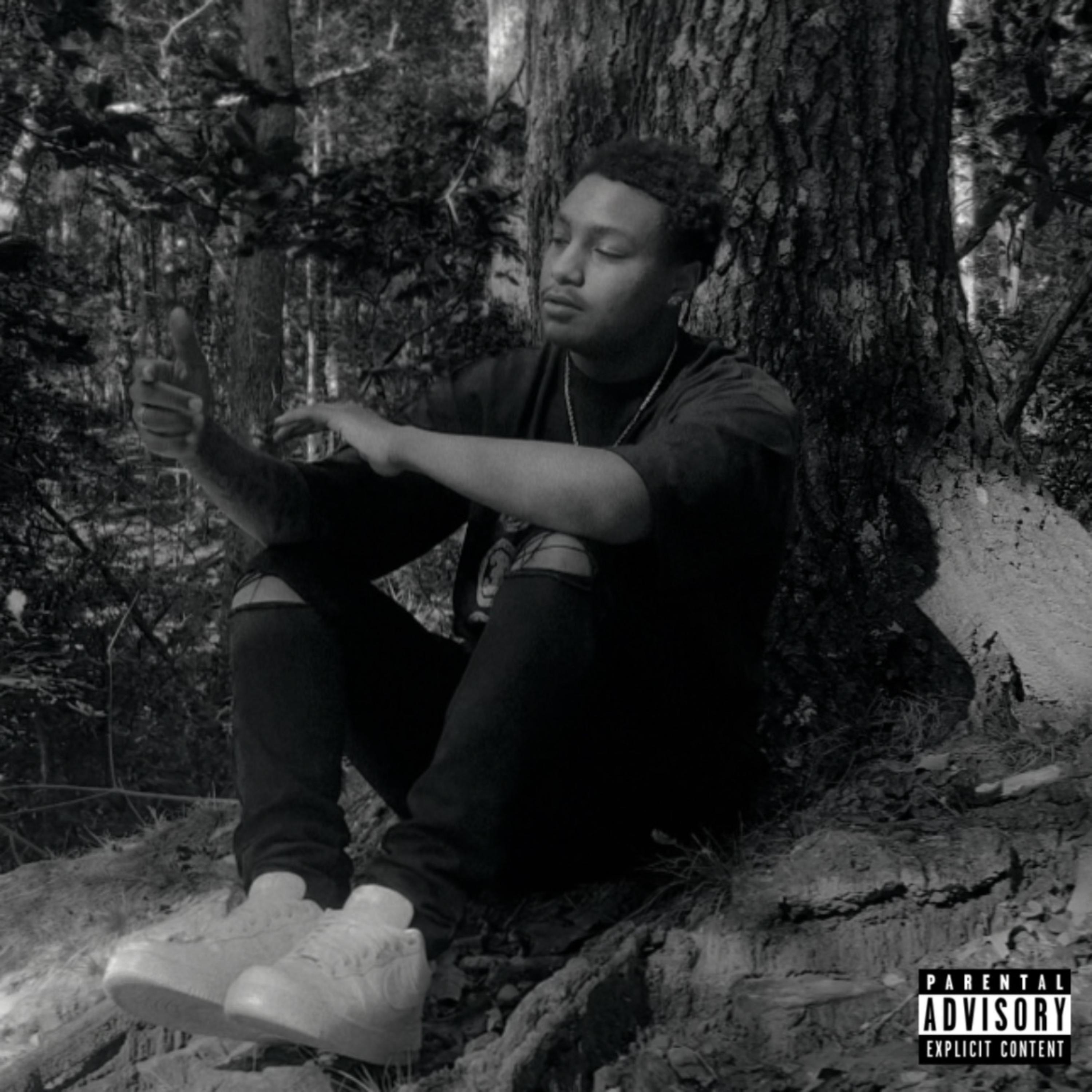 S2BD artwork