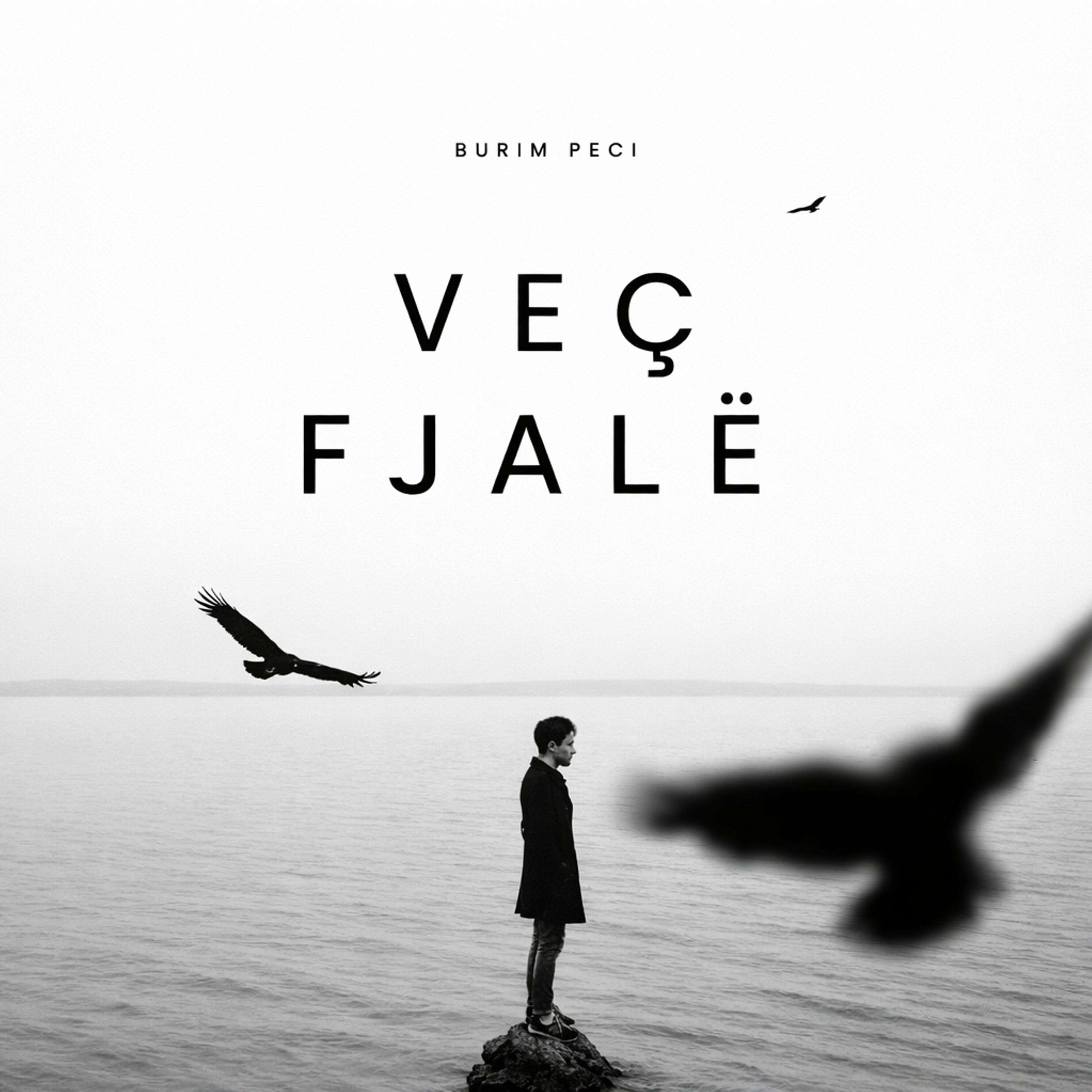 Veç Fjalë artwork