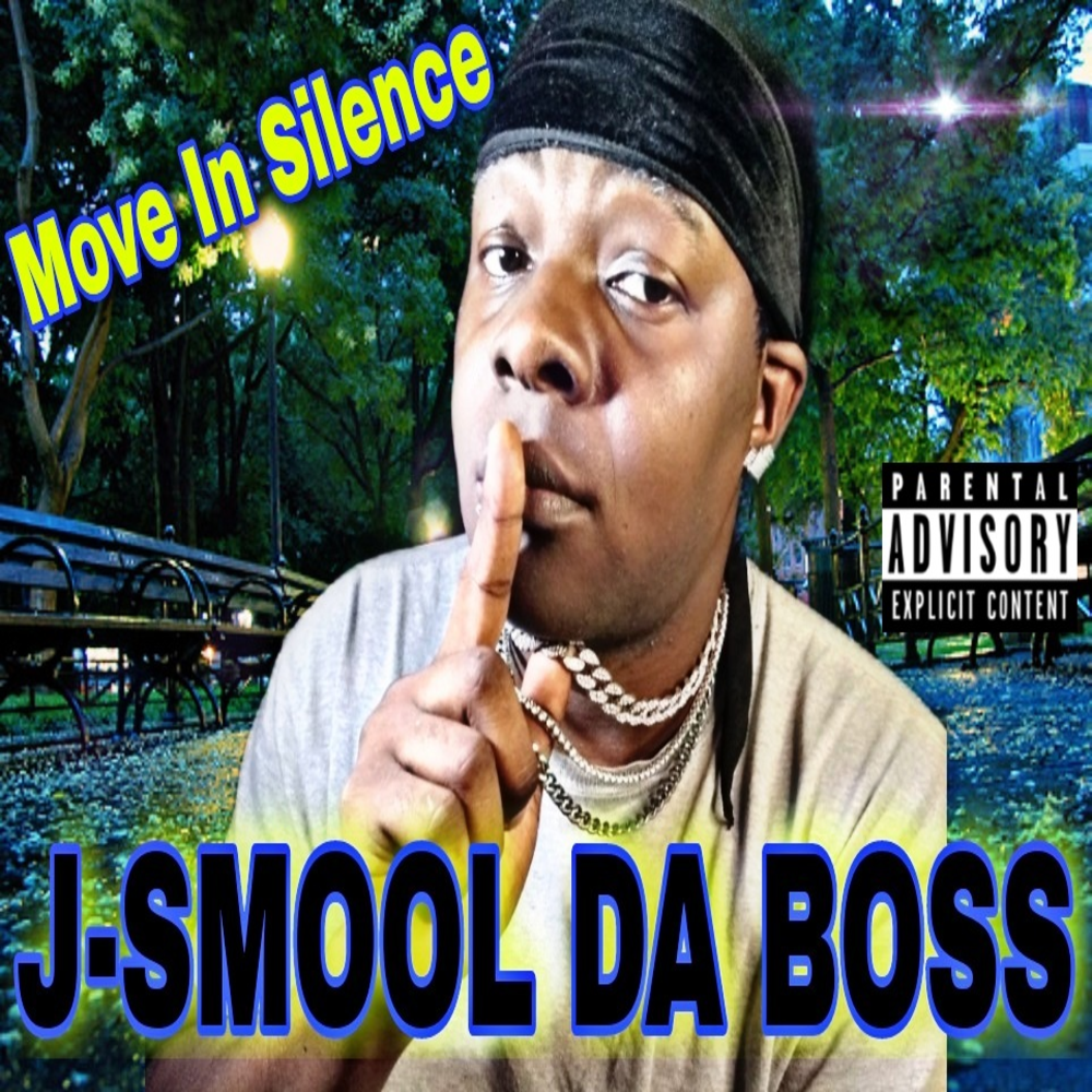 Move In Silence artwork