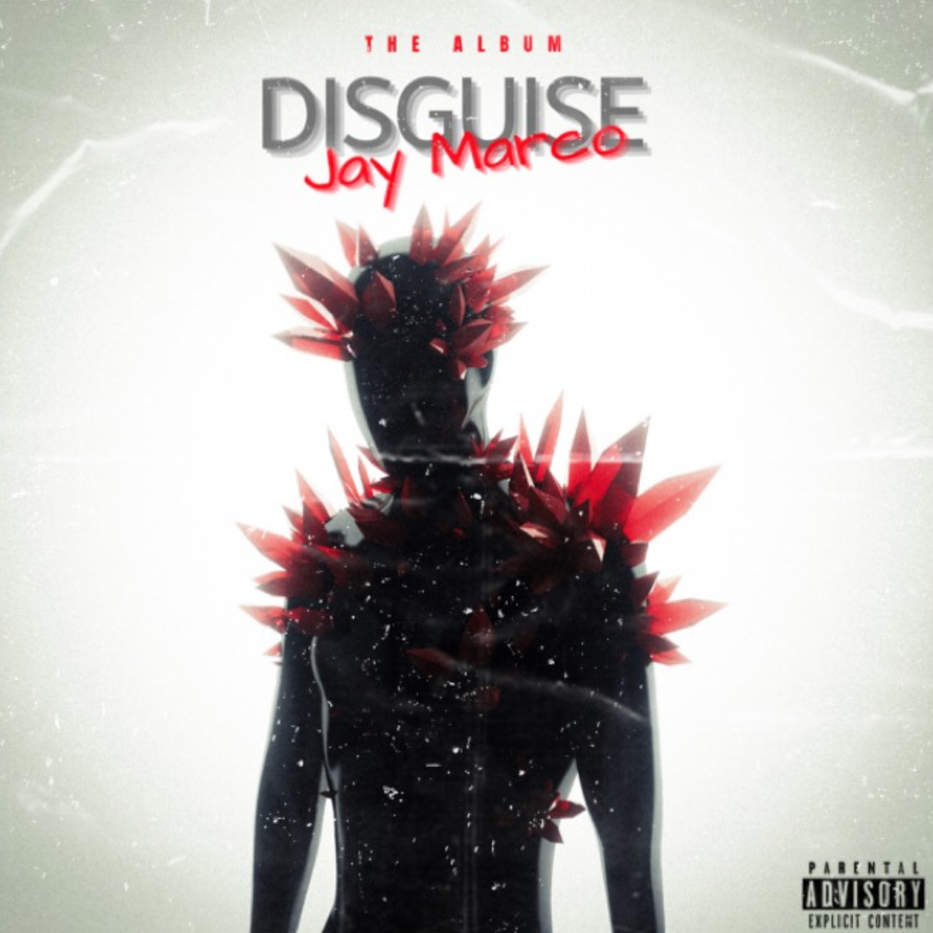 Disguise artwork