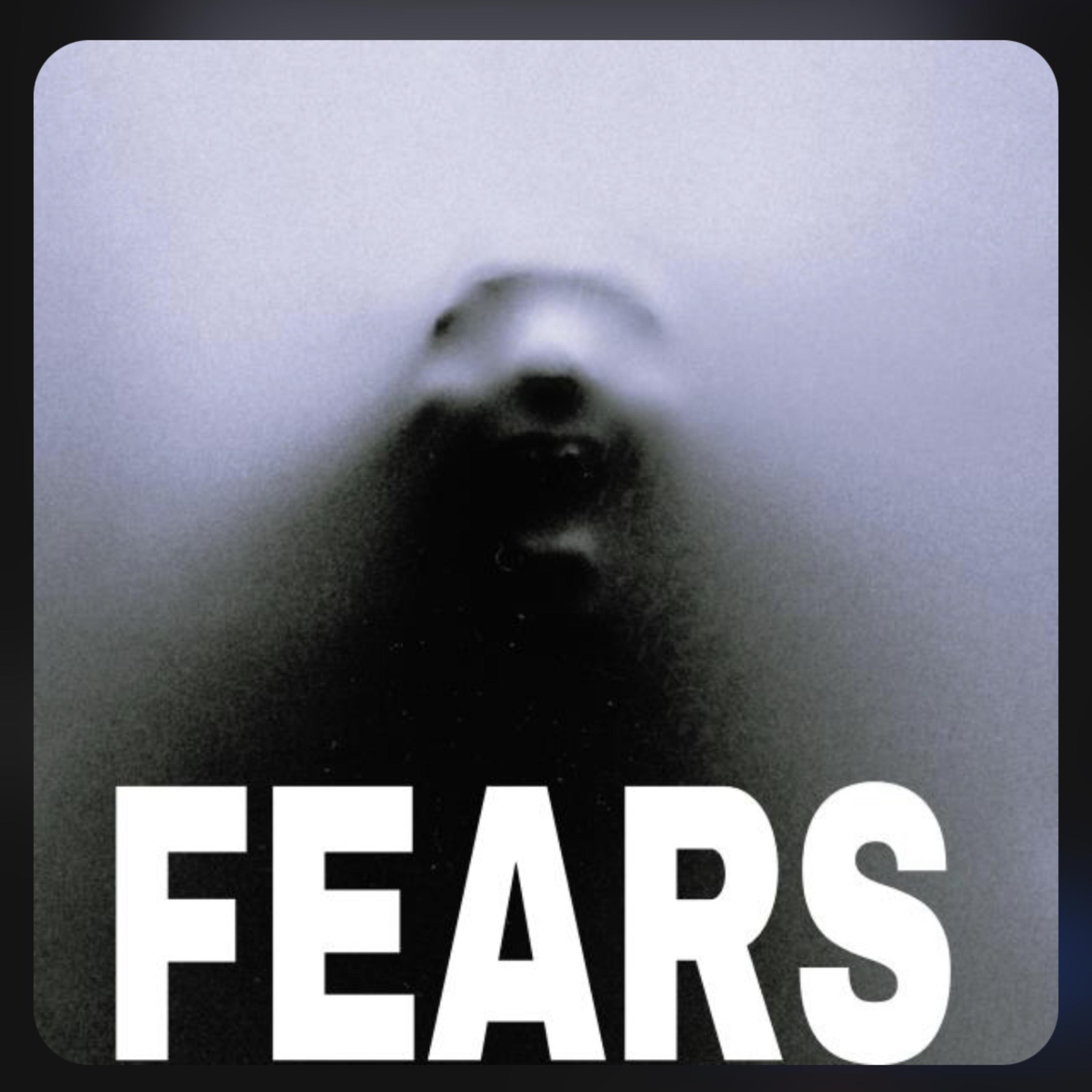 Fears artwork