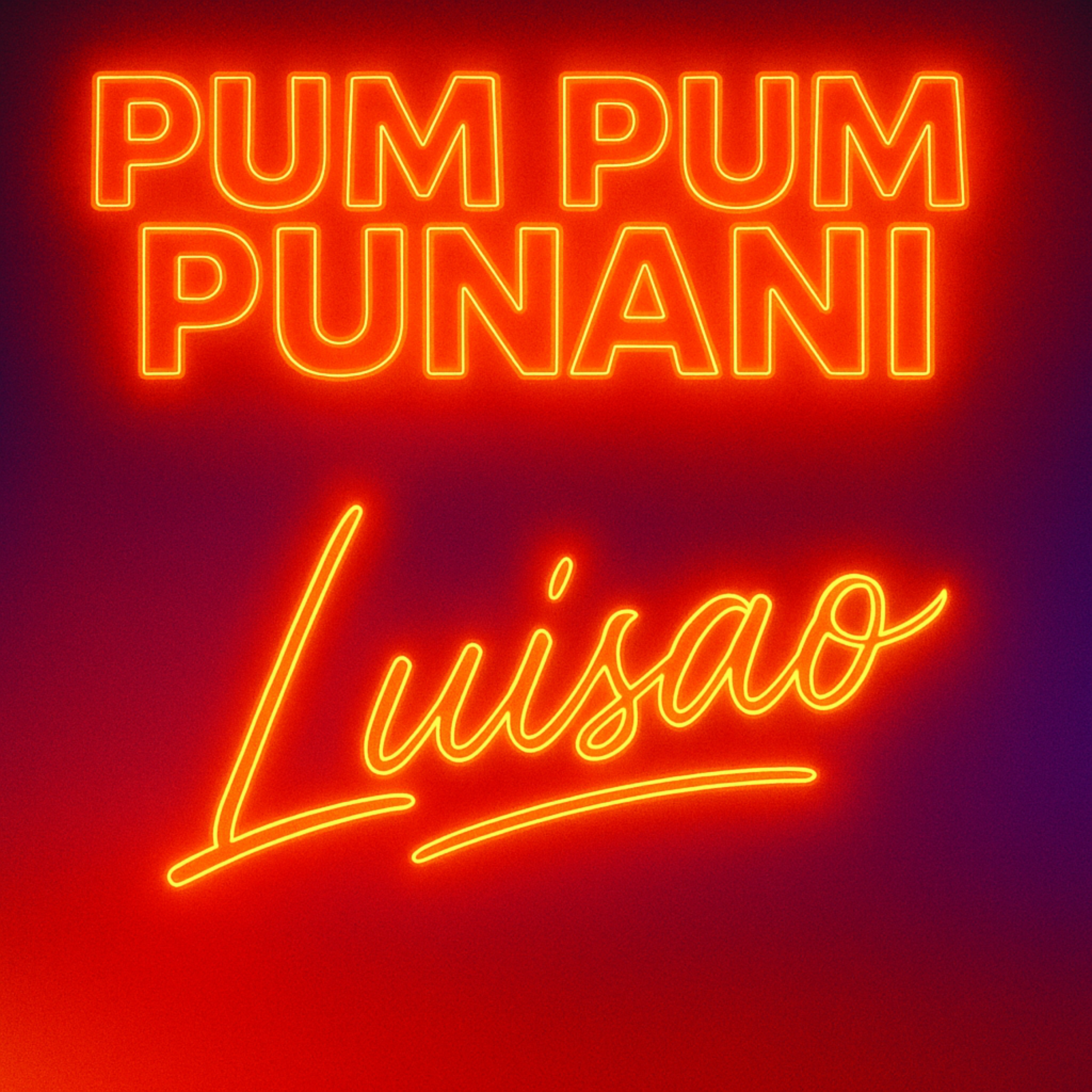 PUM PUM PUNANI artwork