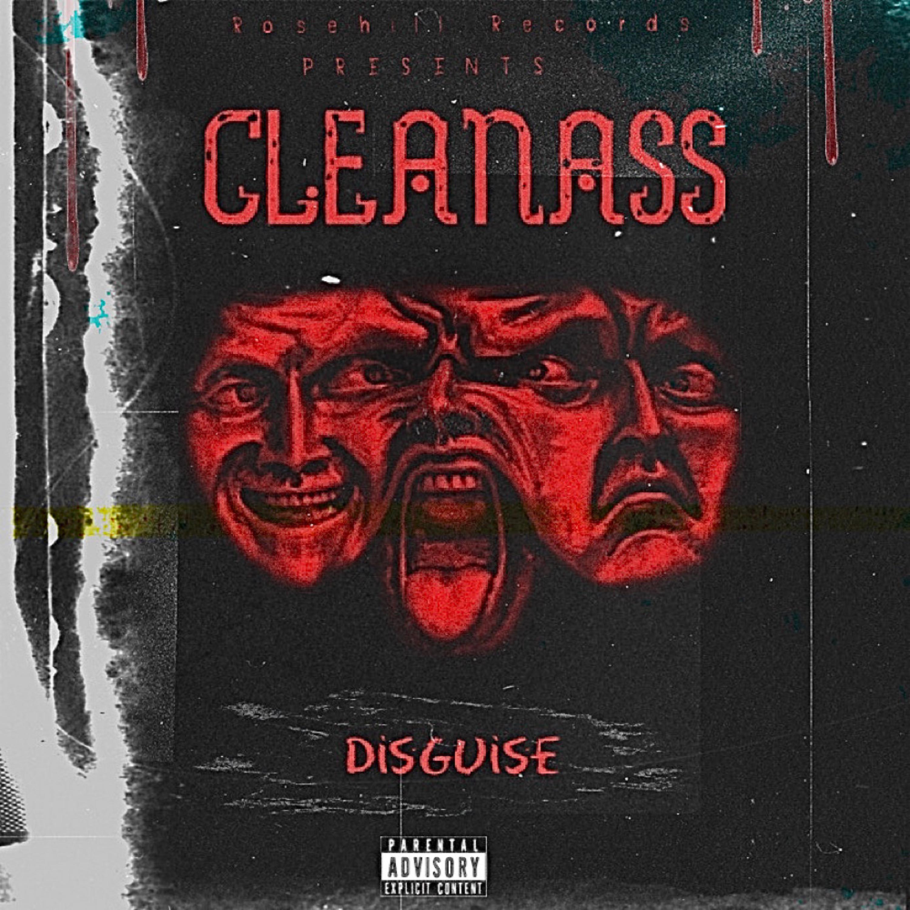 Disguise artwork