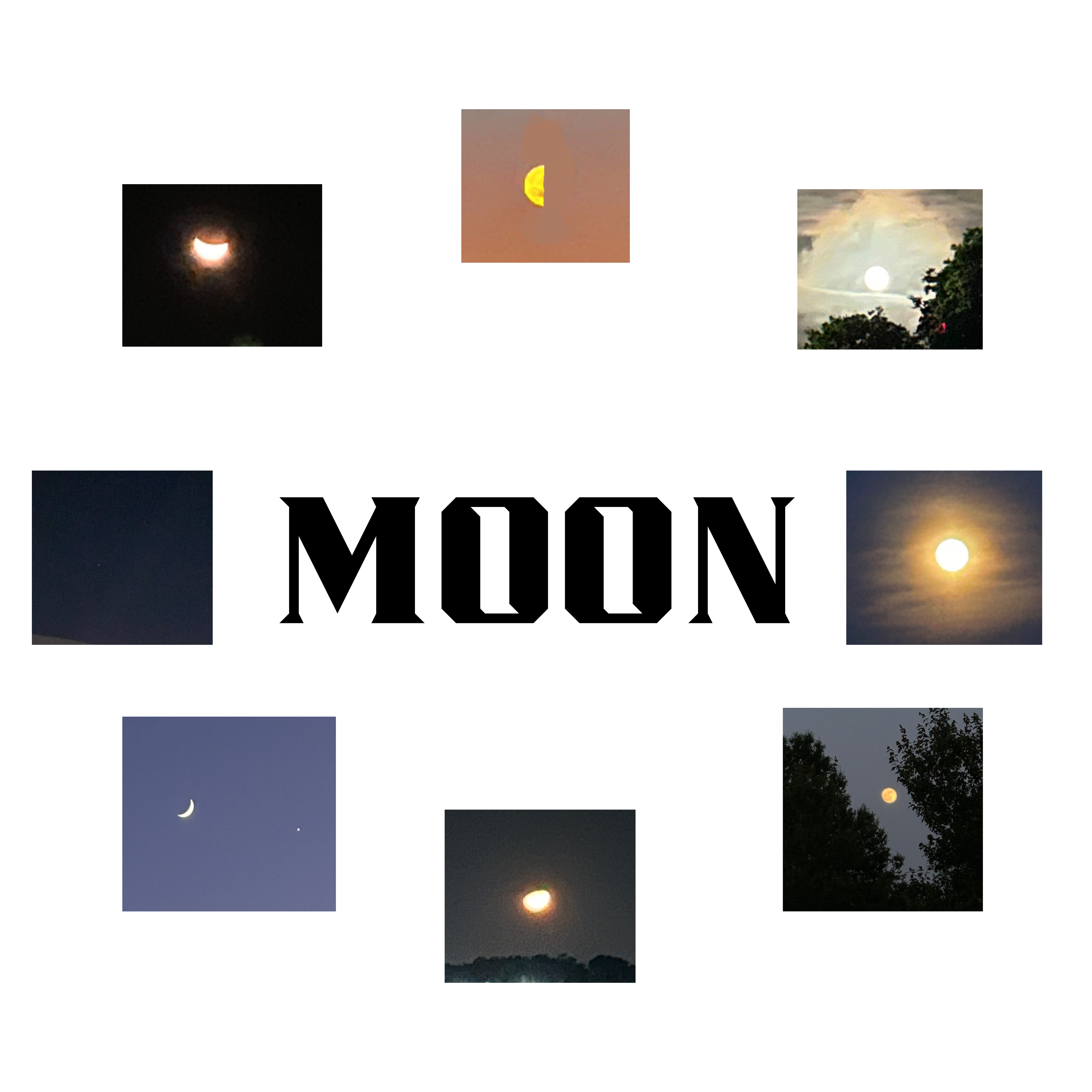 MOON artwork