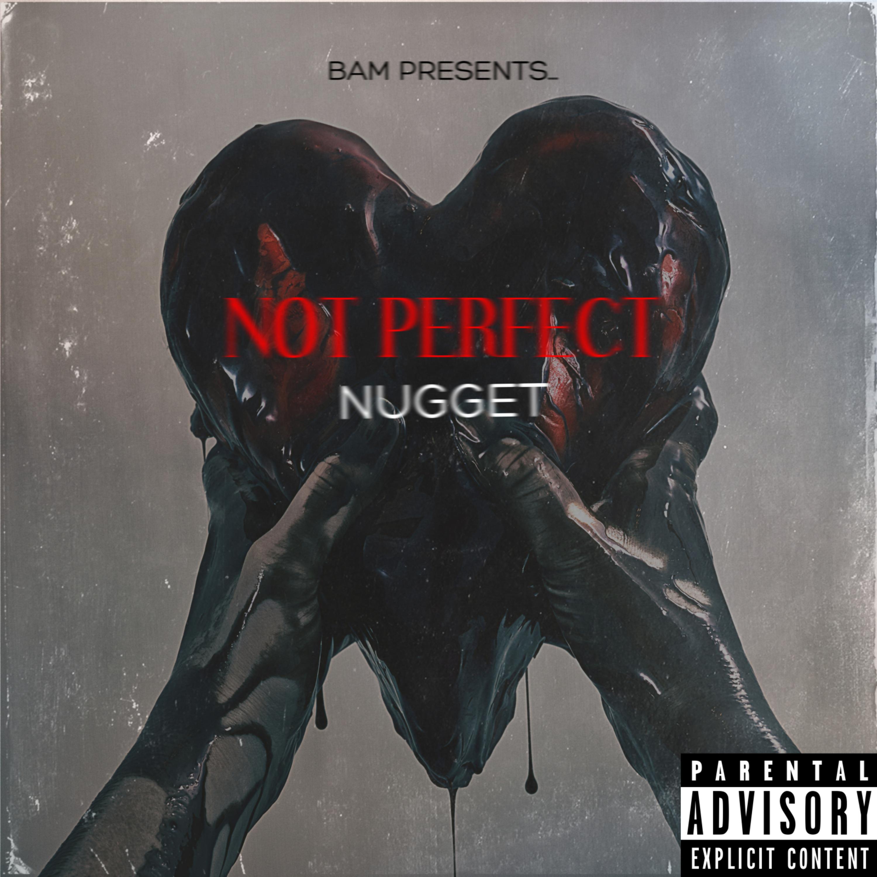 Not Perfect artwork