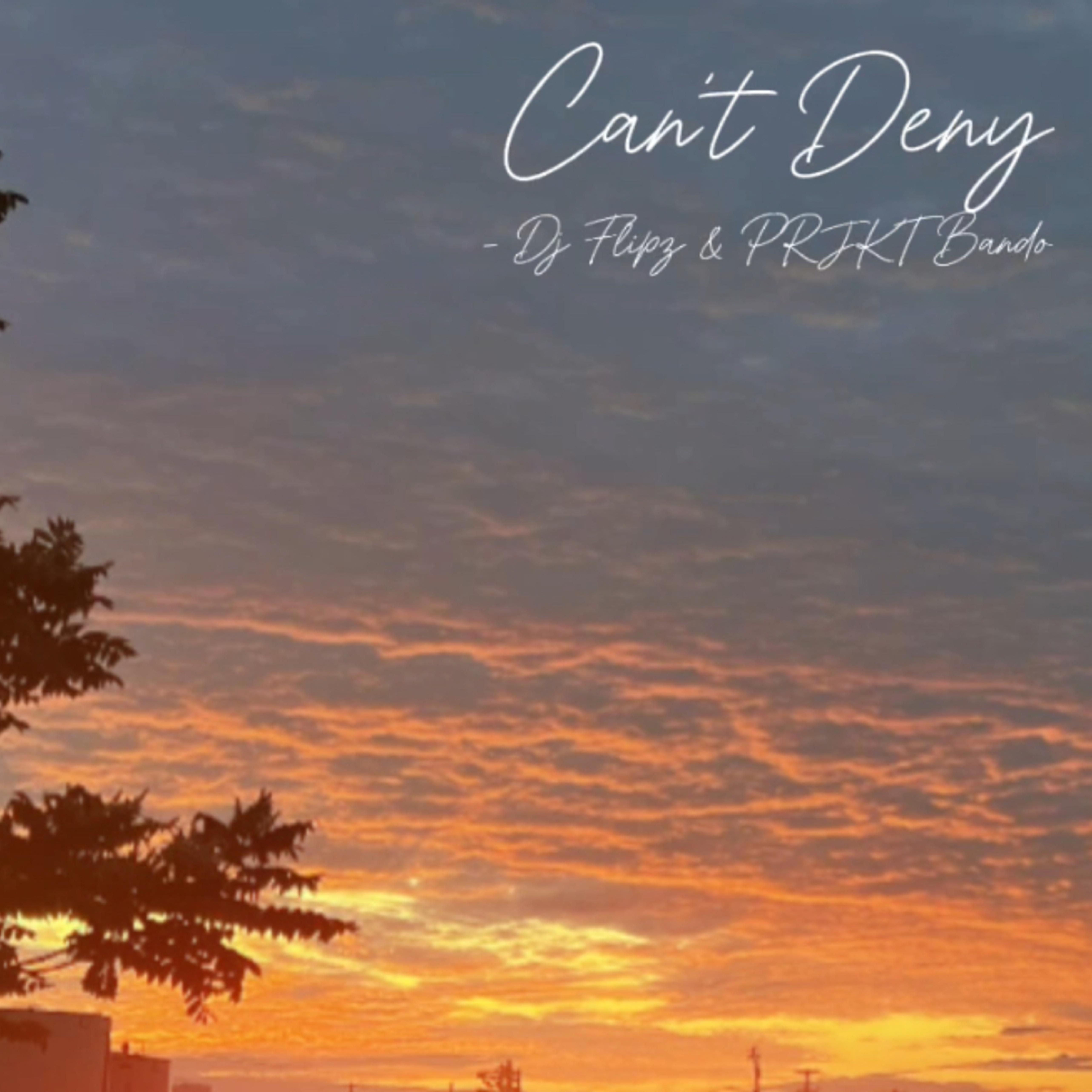 Can’t Deny artwork