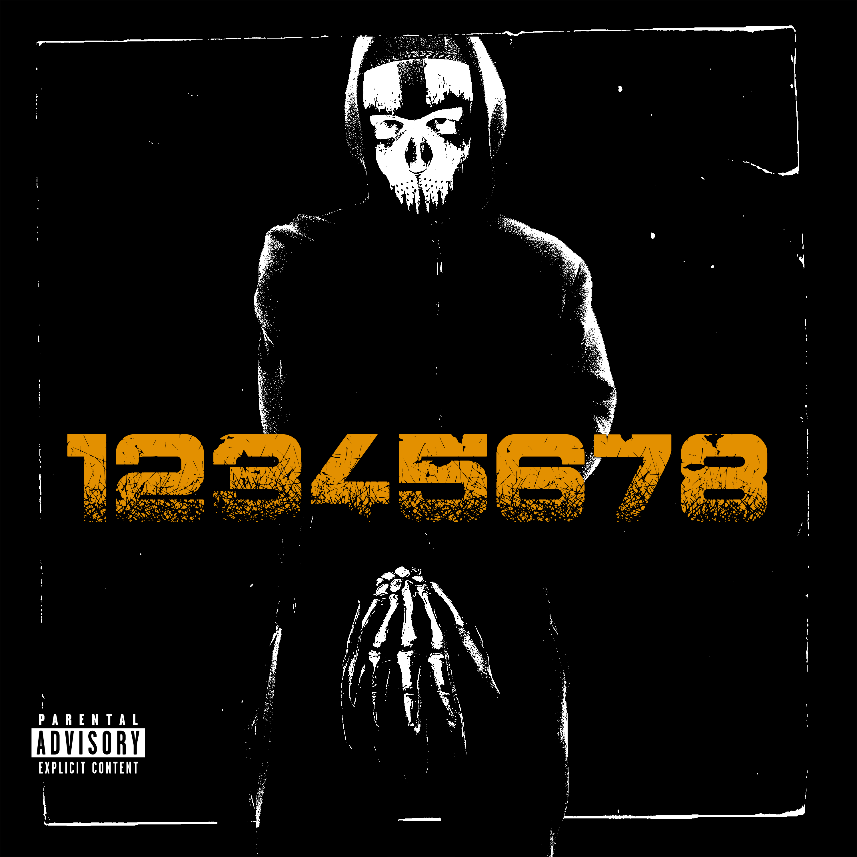 12345678 artwork