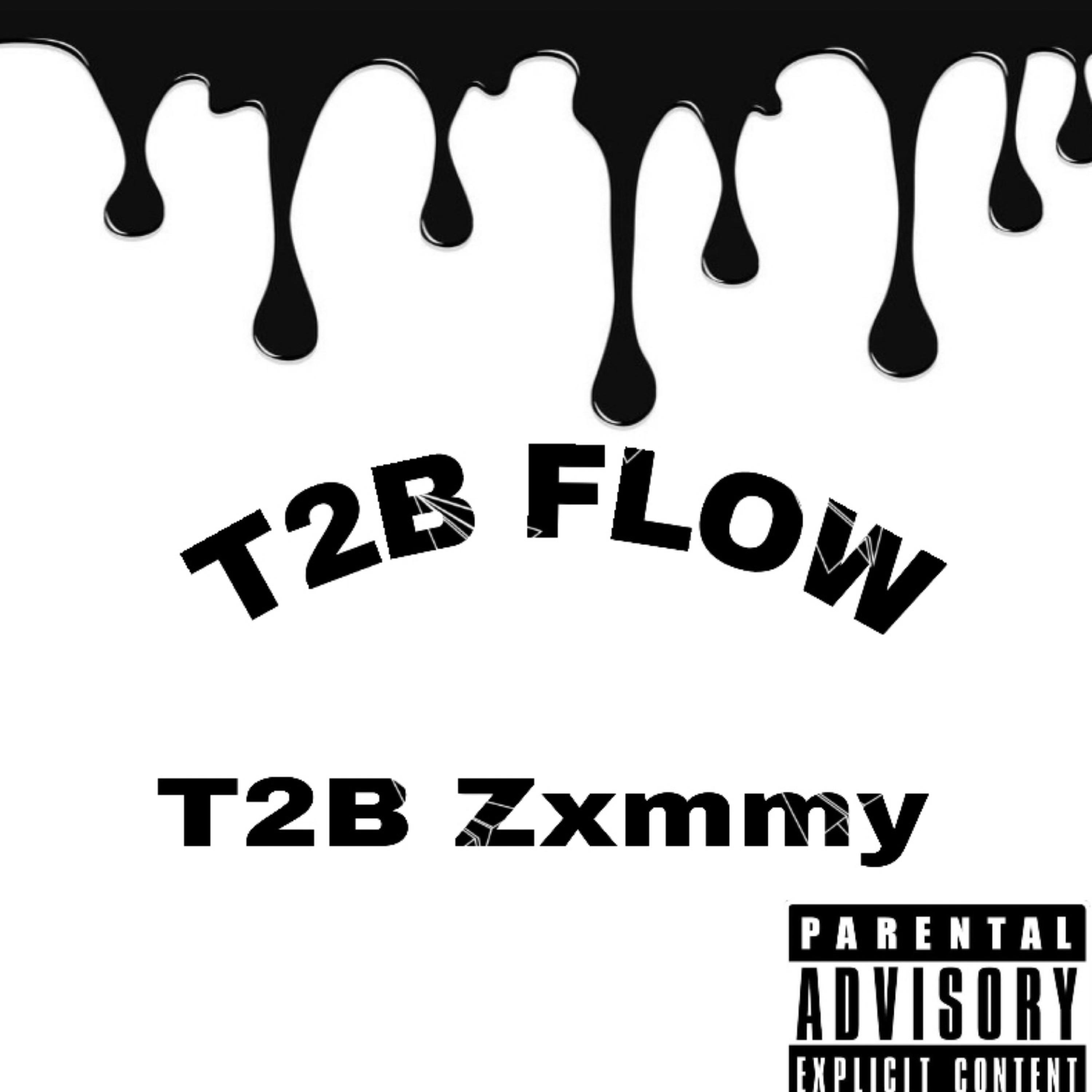 T2B FLOW by T2B Zxmmy cover art