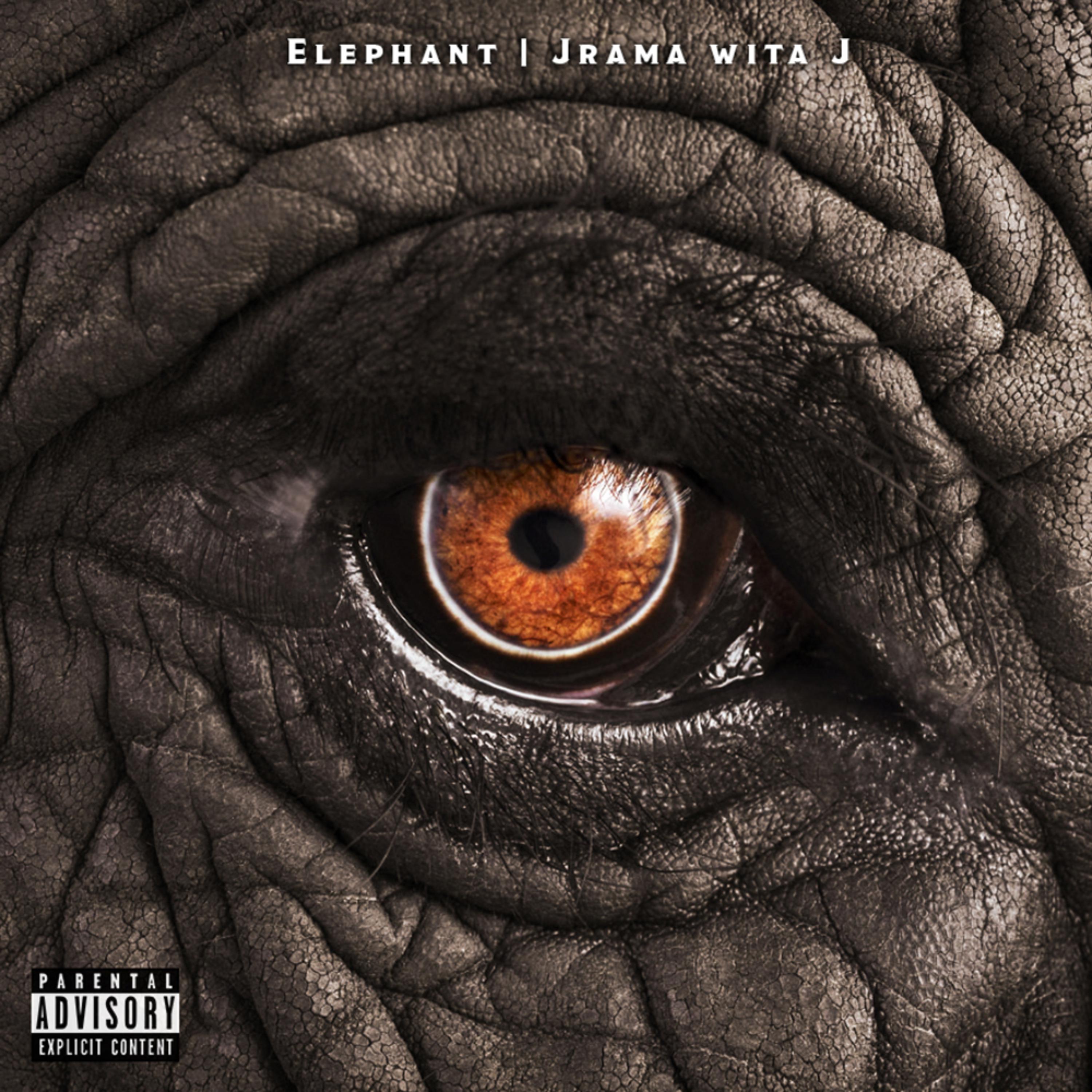 Elephant artwork