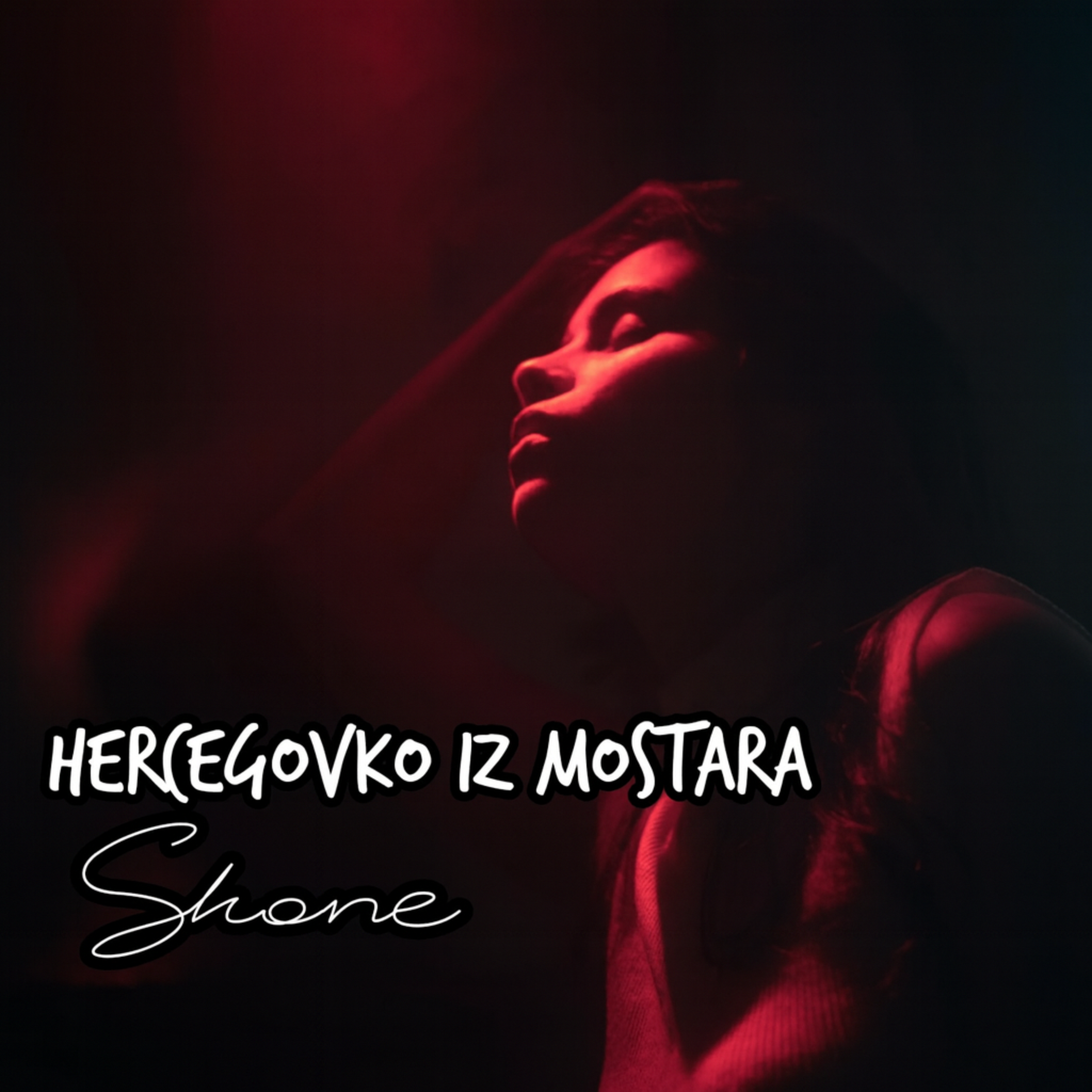 Hercegovko iz Mostara artwork