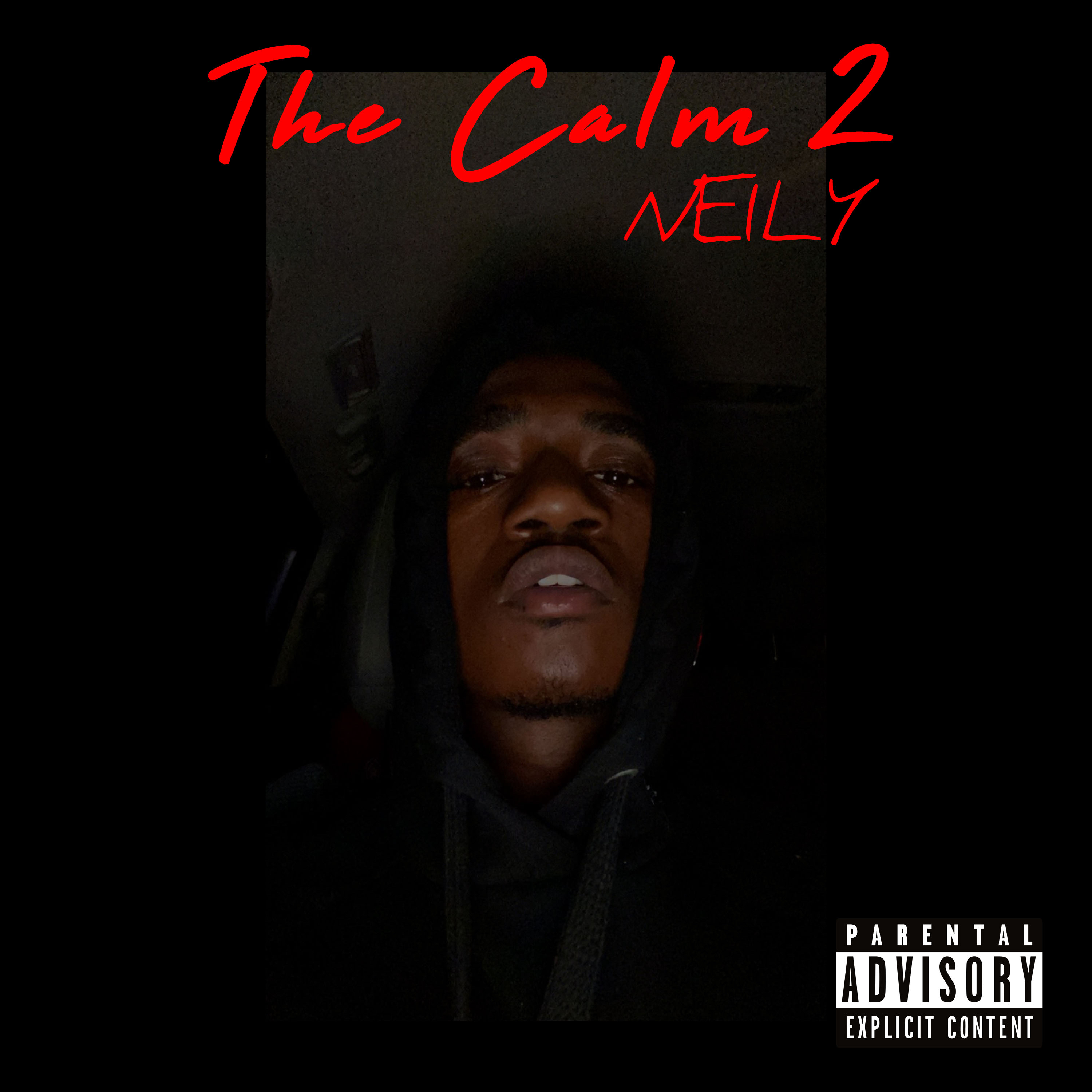 The Calm 2 by Neily cover art