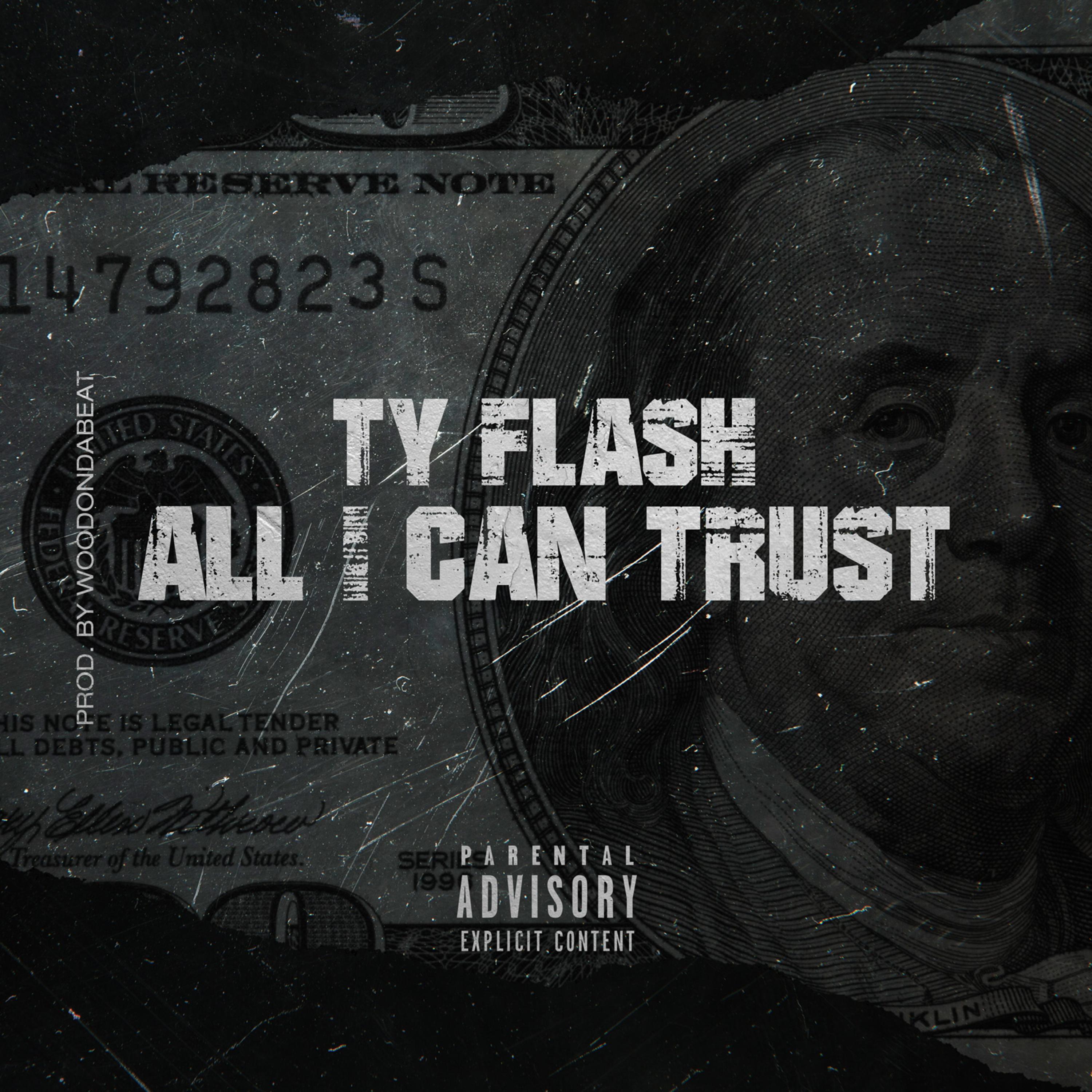All I Can Trust by Ty Flash cover art